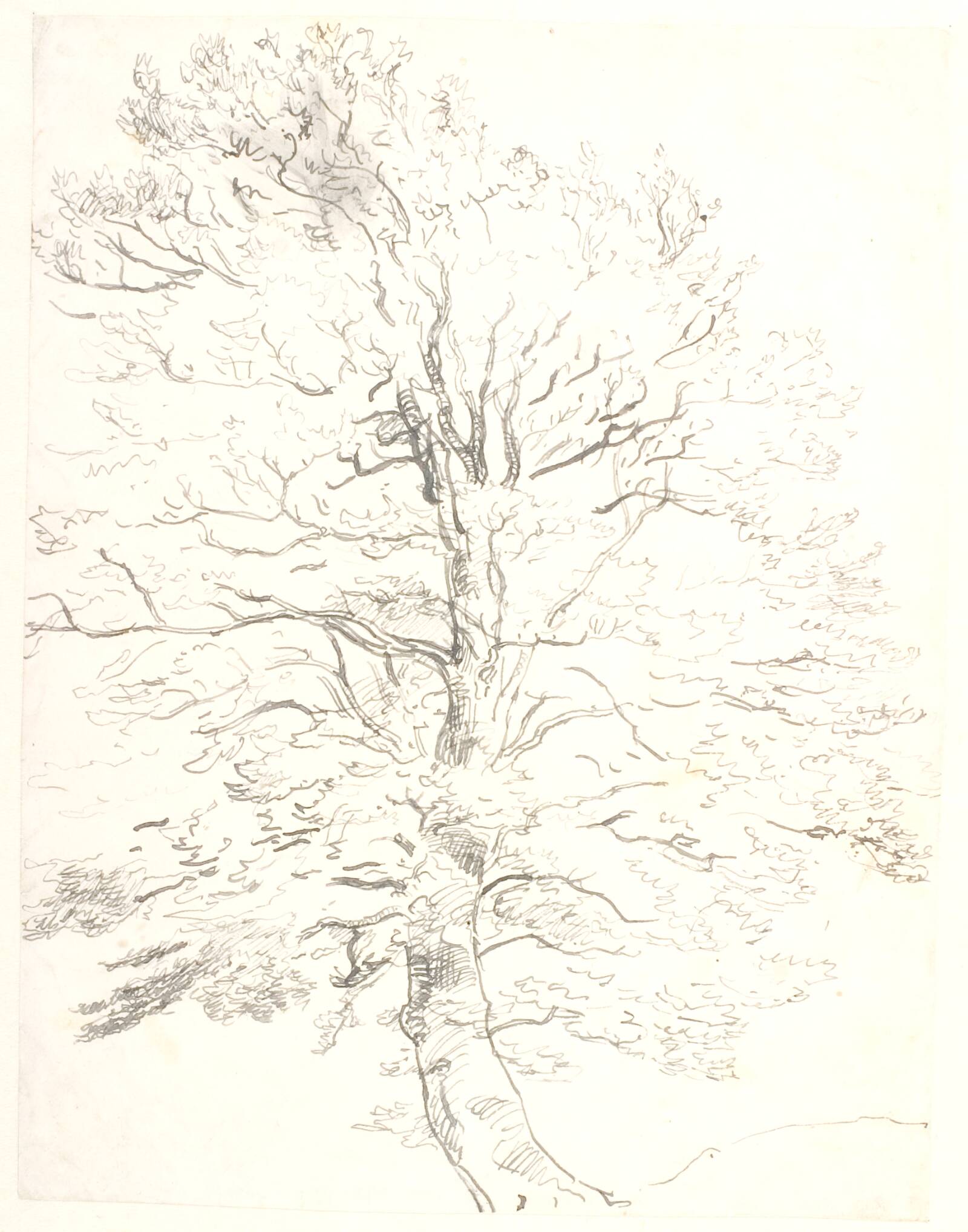 Et bøgetræ, Dankvart Dreyer, 1847-1849