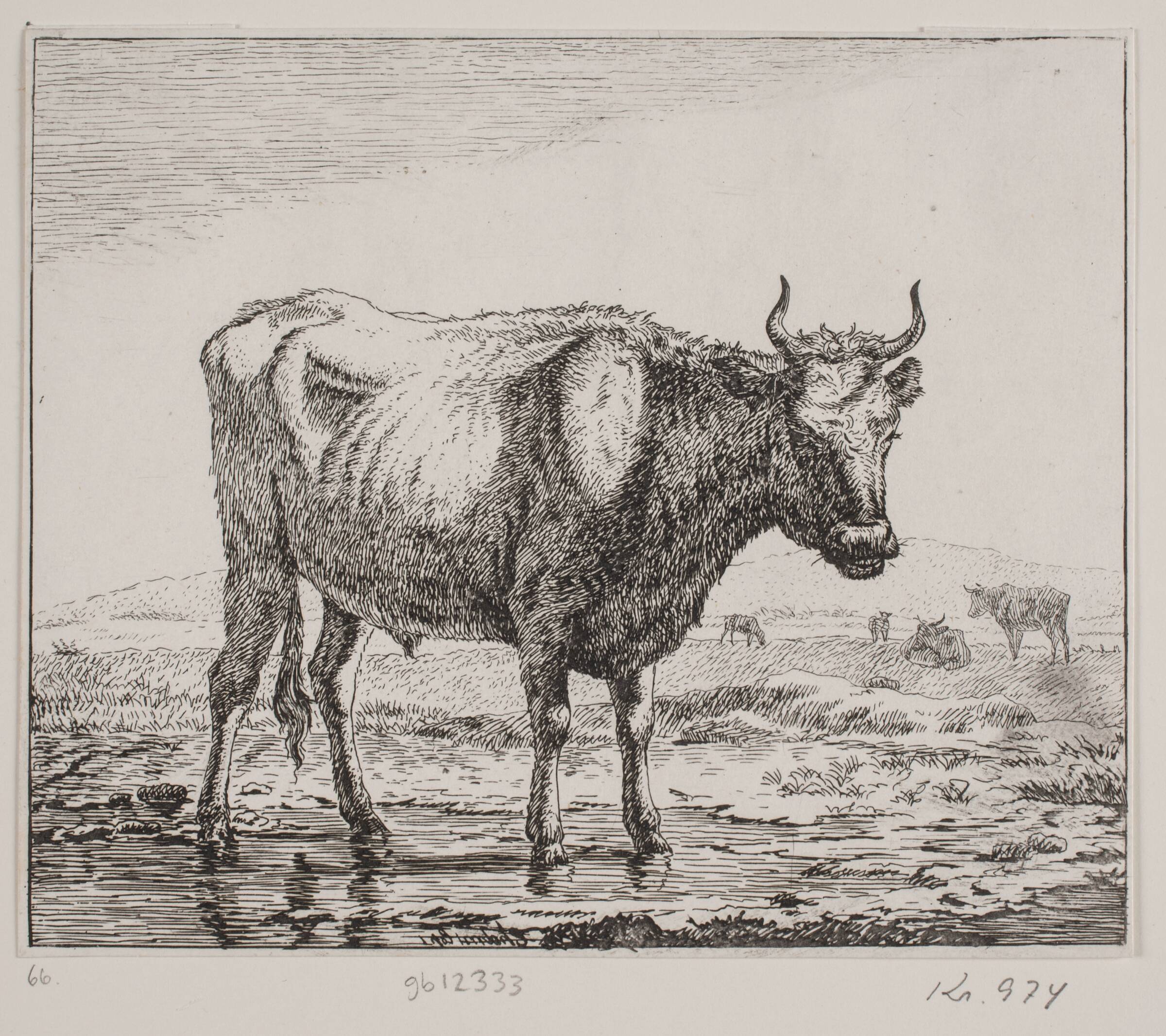 Stående ko ved vandhul, Christian Holm, 1821