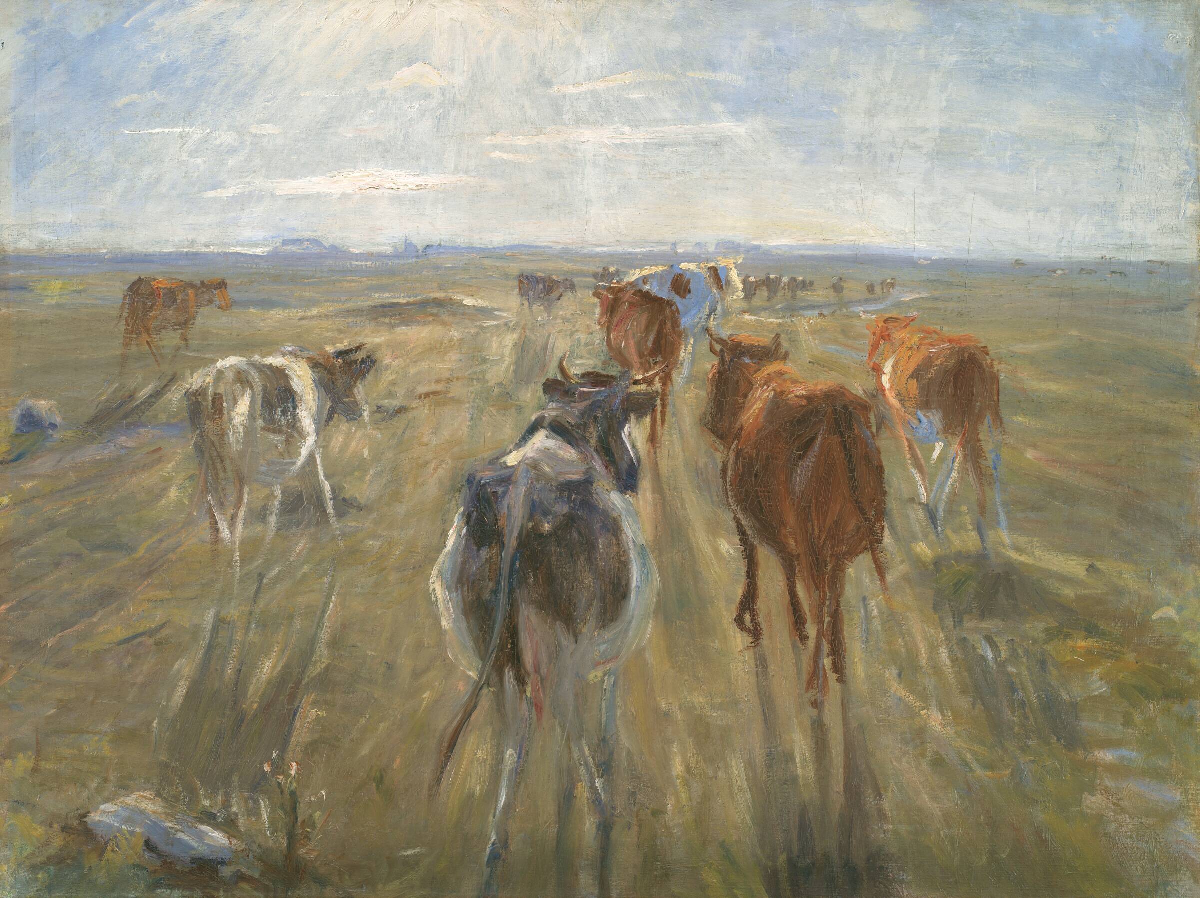 Lange skygger. Kvæg på Saltholm, Theodor Philipsen, 1888-1892
