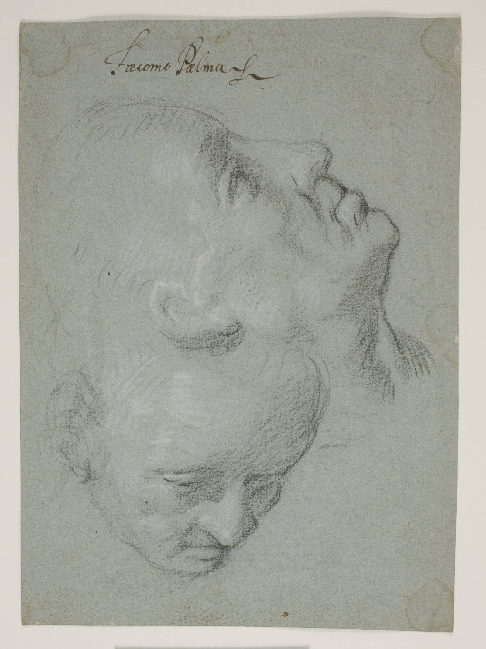 To studier af mandlige ansigter, Ubekendt, 1550-1599