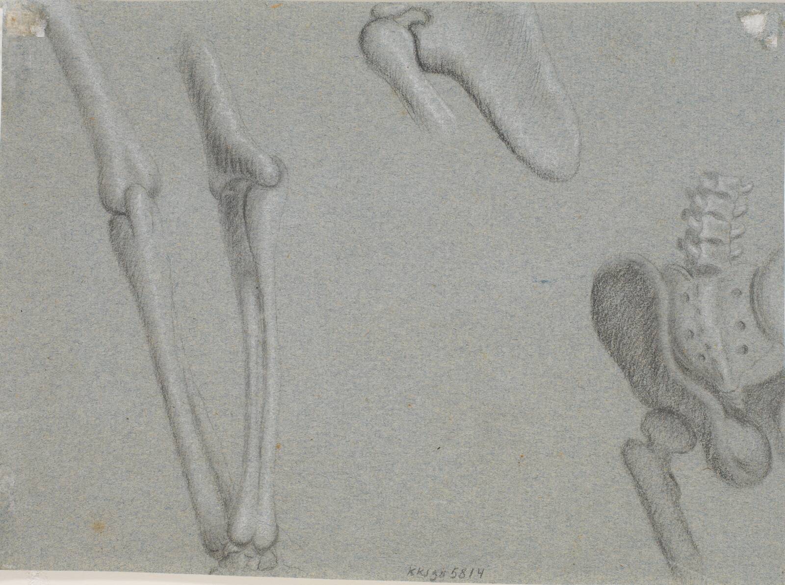 Knogler, Marcus Tuscher, 1728-1731