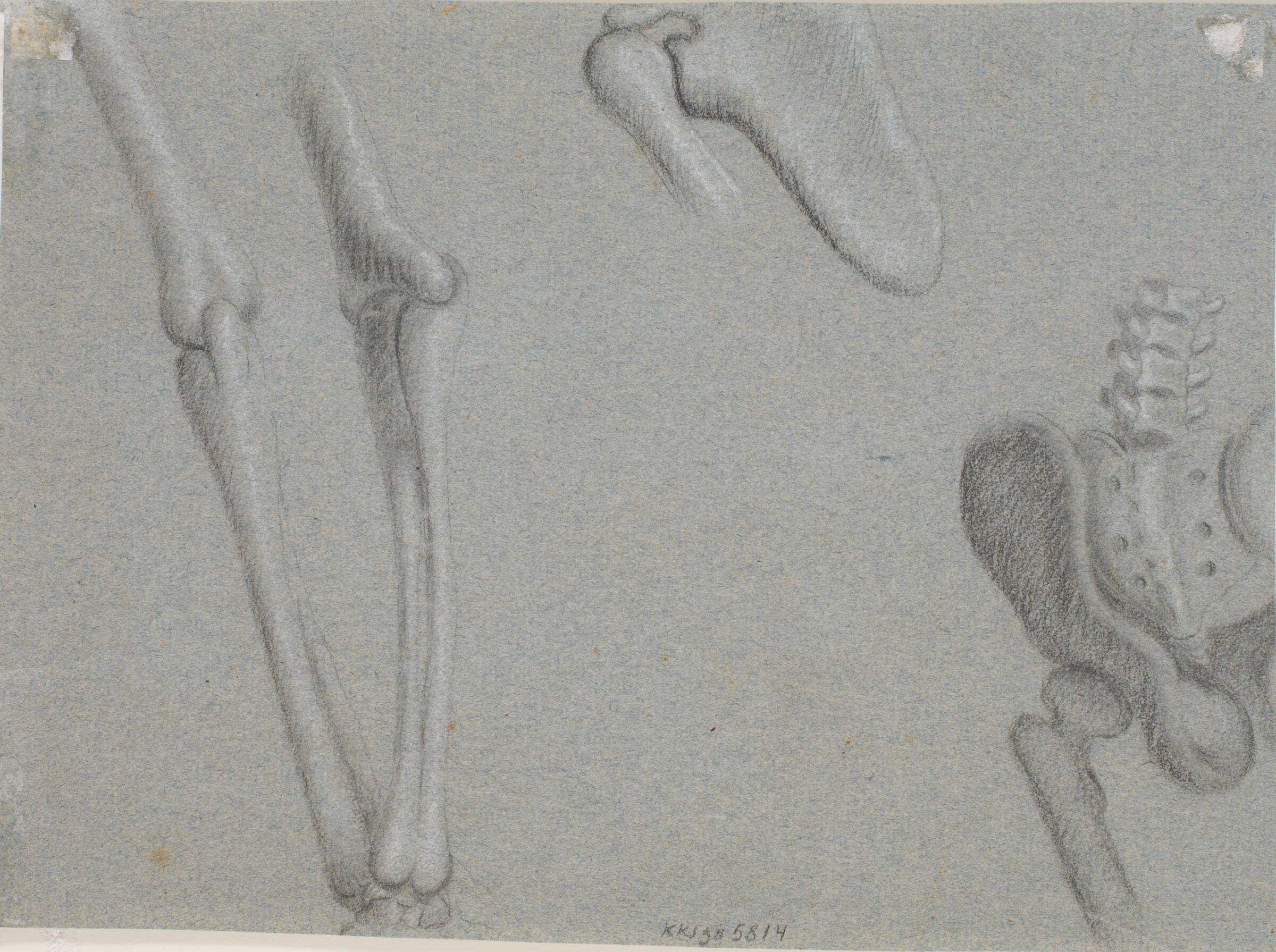 Knogler, Marcus Tuscher, 1728-1731