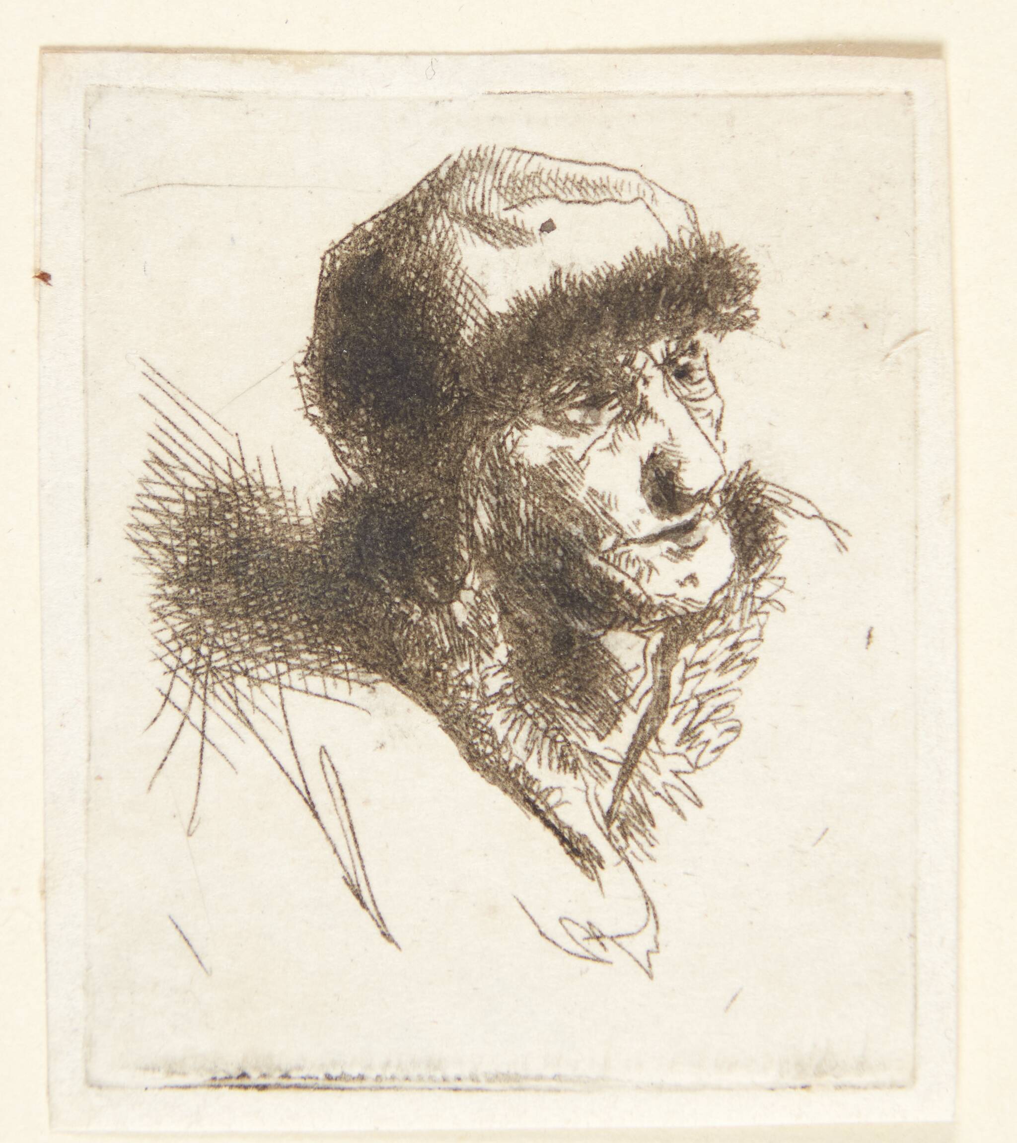 Gammel kvinde med pelshue