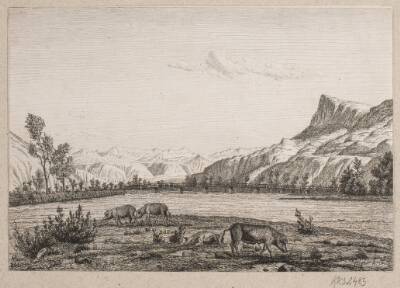 Bjergegn i Tyrol