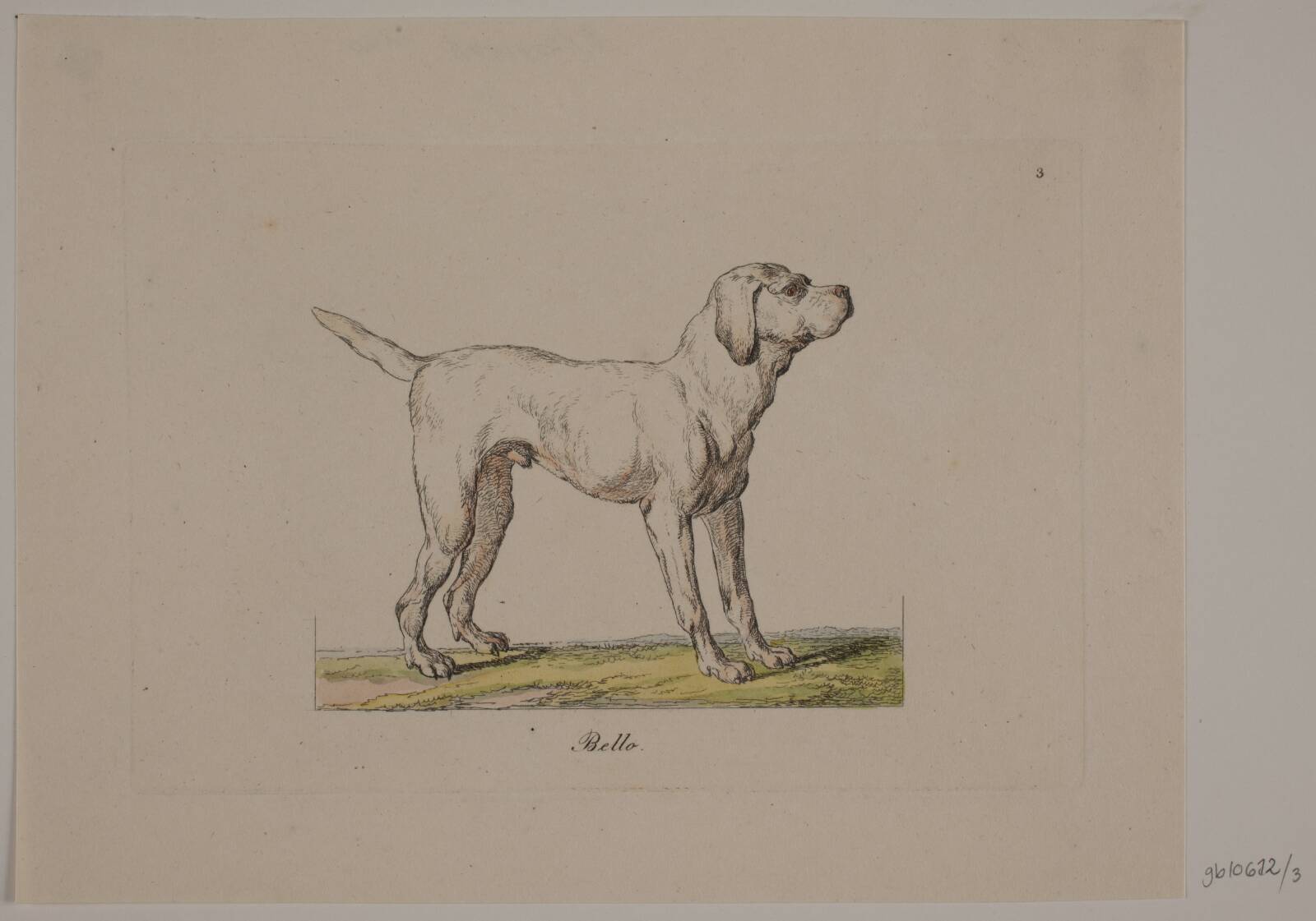 Bello, Christian David Gebauer, 1821
