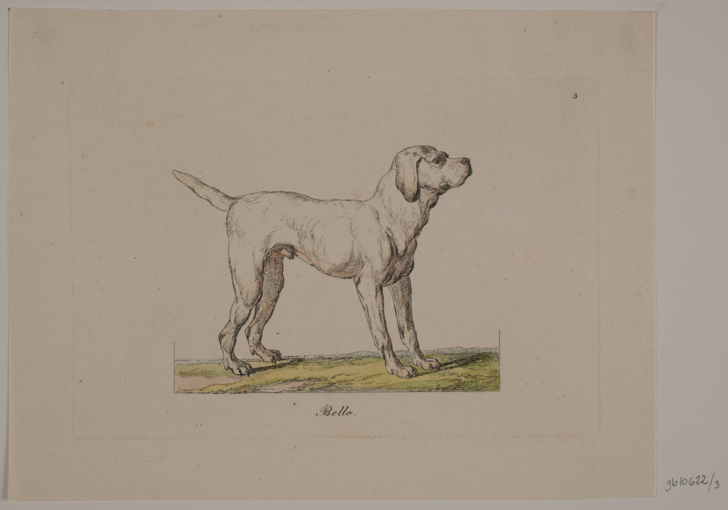 Bello, Christian David Gebauer, 1821
