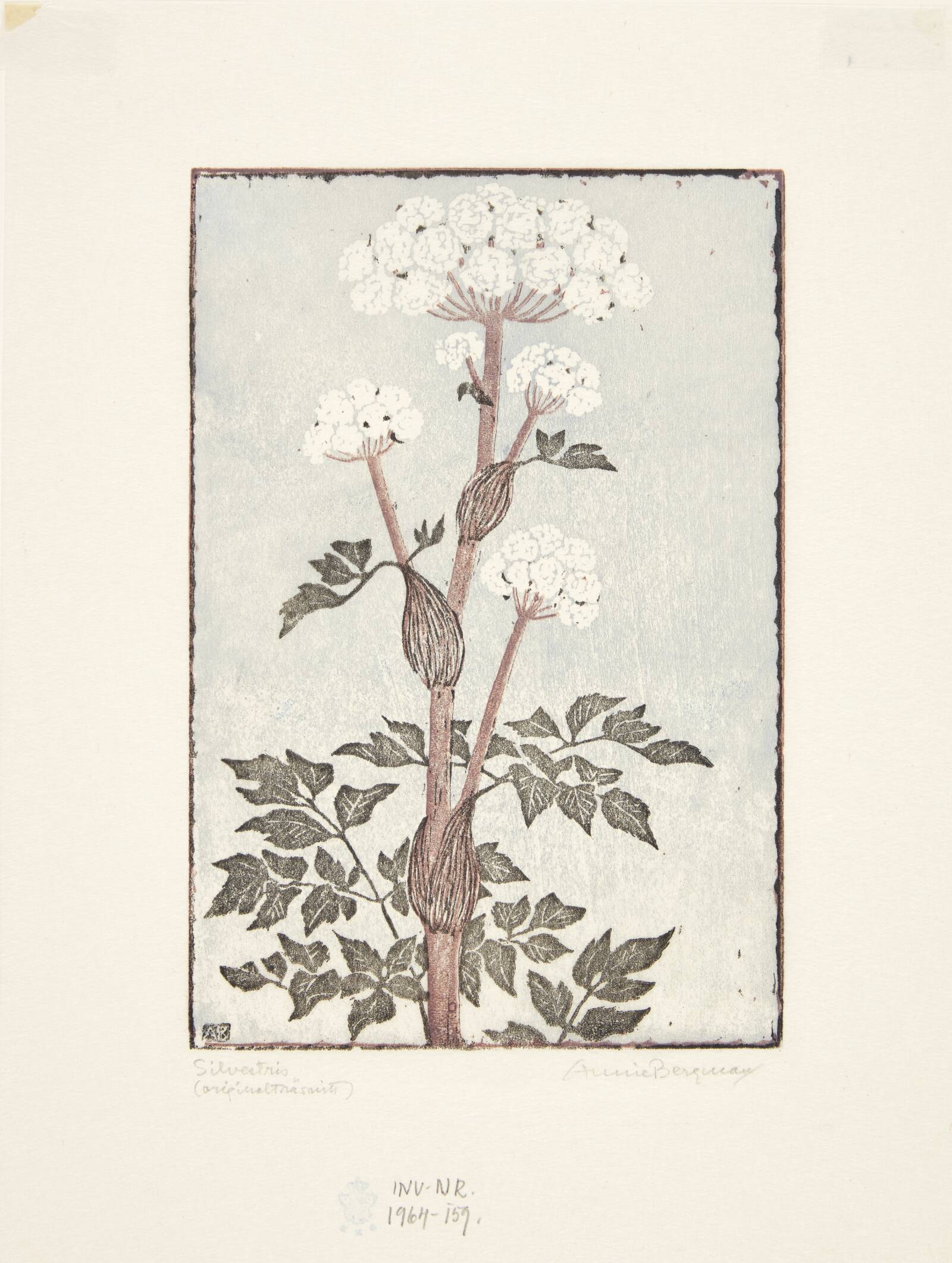 "Silvestris", Annie Bergman, 1962