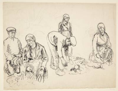 Roeoptagere. Studieblad