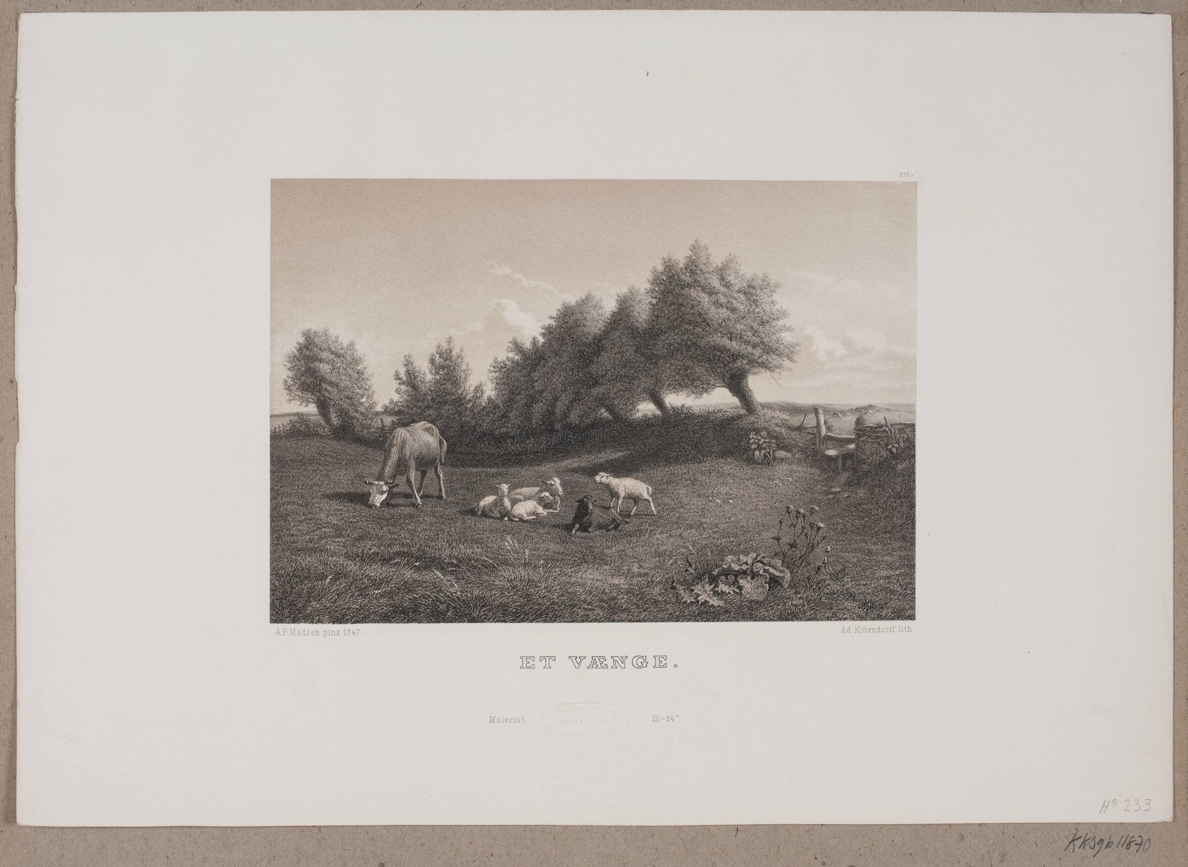 Karel van Mander III eller Thomas Bartholin ?, Albert Haelwegh, 1655-1659