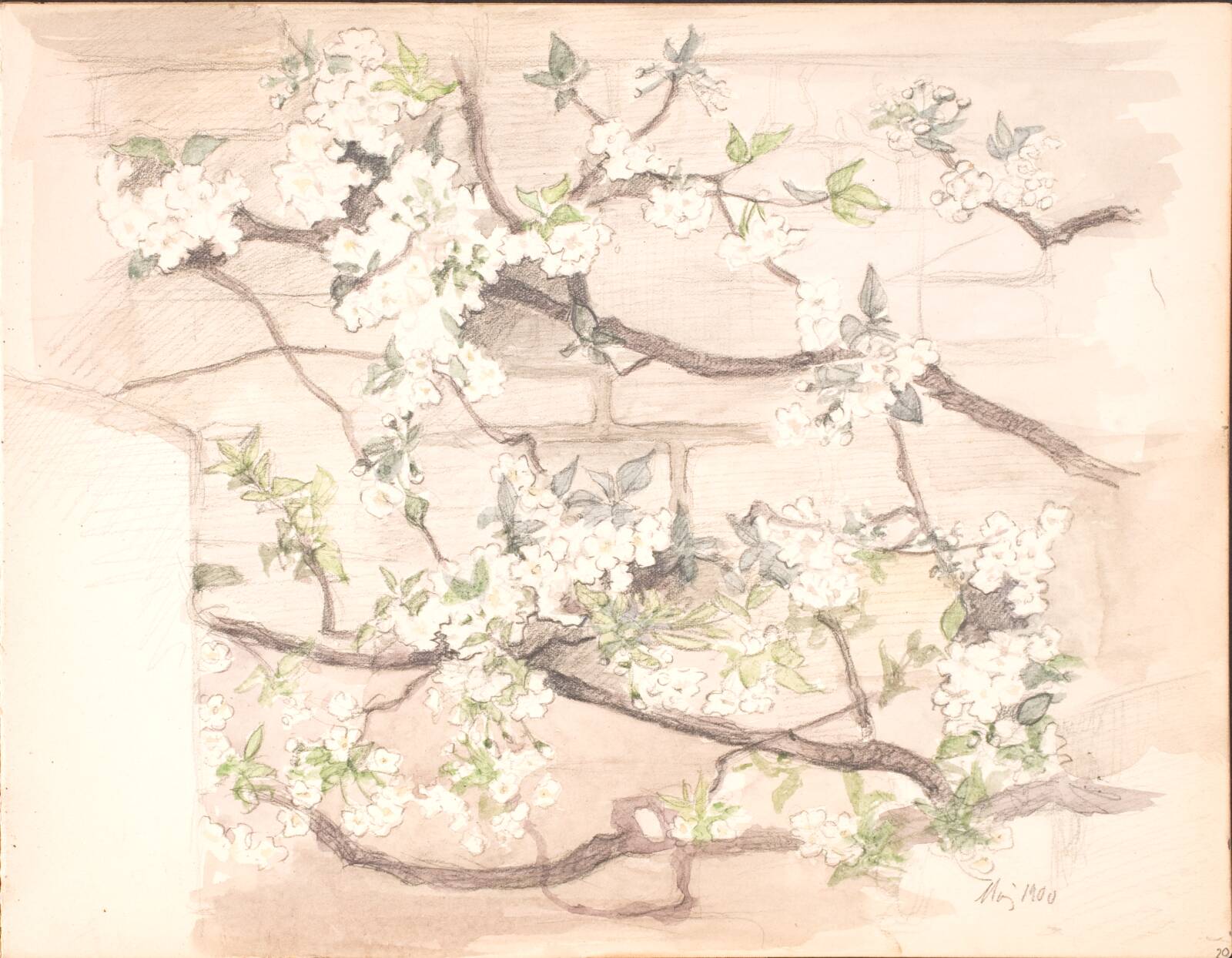 Æbleblomster, Agnes Slott-Møller, 1900