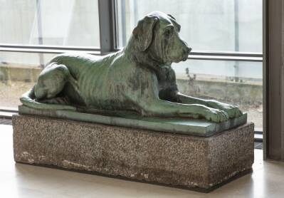 En liggende hund