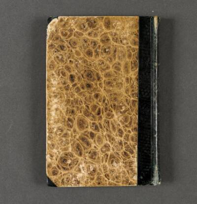 Skitse og rejsedagbog. Schweiz, Frankrig og Italien 1845-46