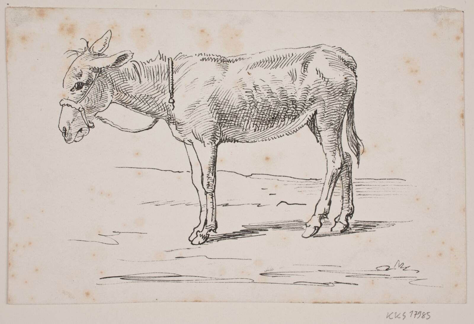 Et æsel, Wilhelm Marstrand, 1810-1873