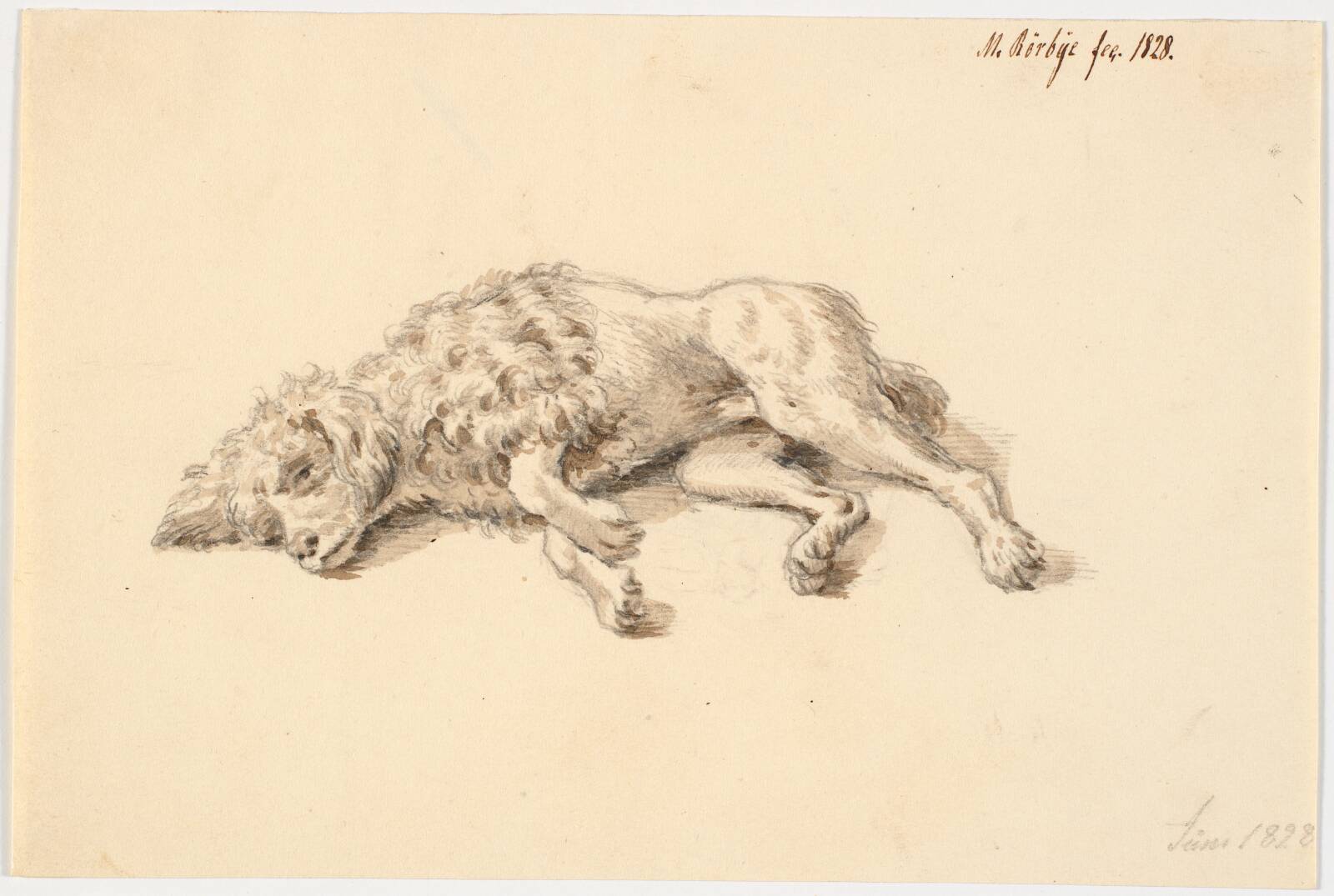 Liggende puddelhund, Martinus Rørbye, 1828