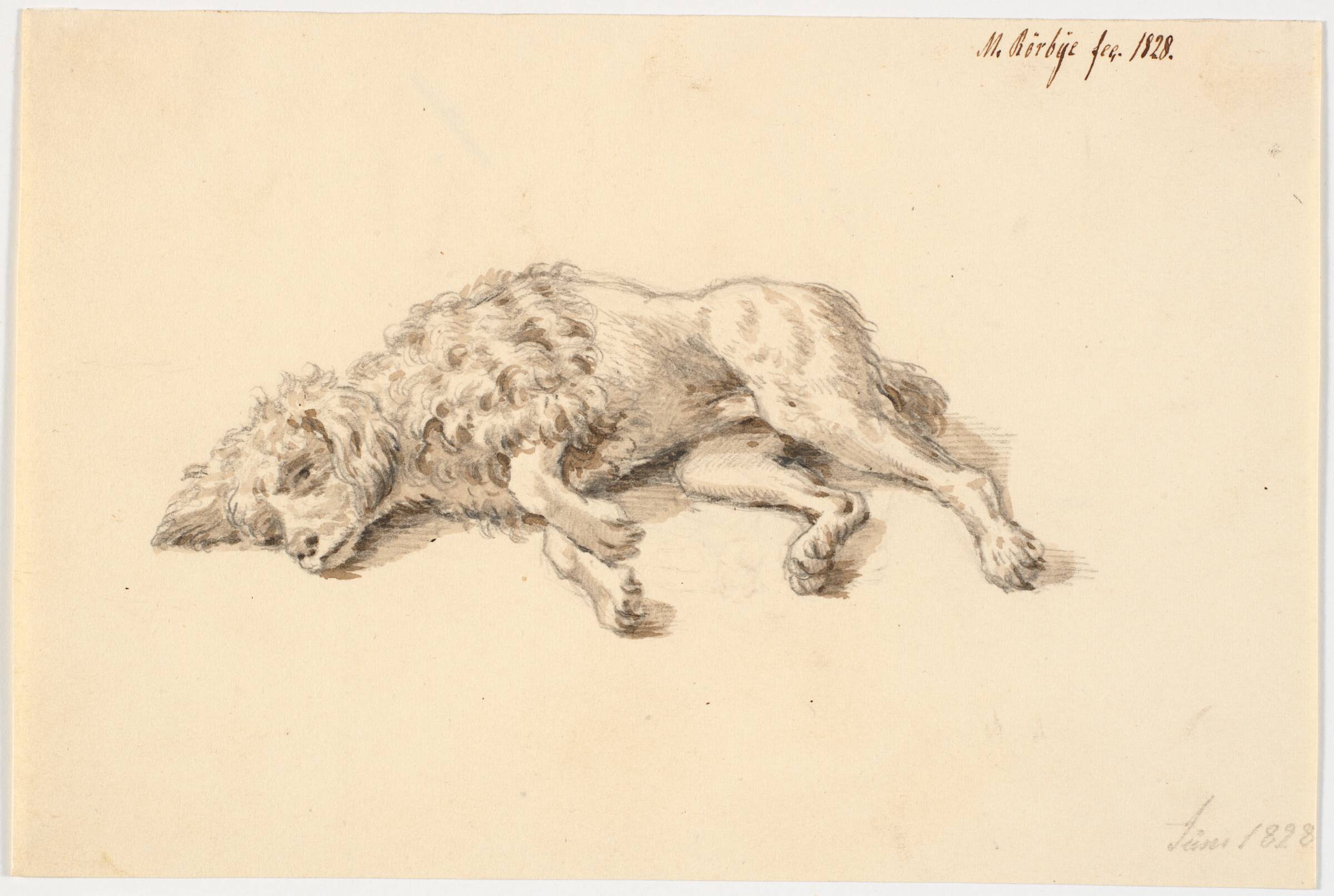 Liggende puddelhund, Martinus Rørbye, 1828