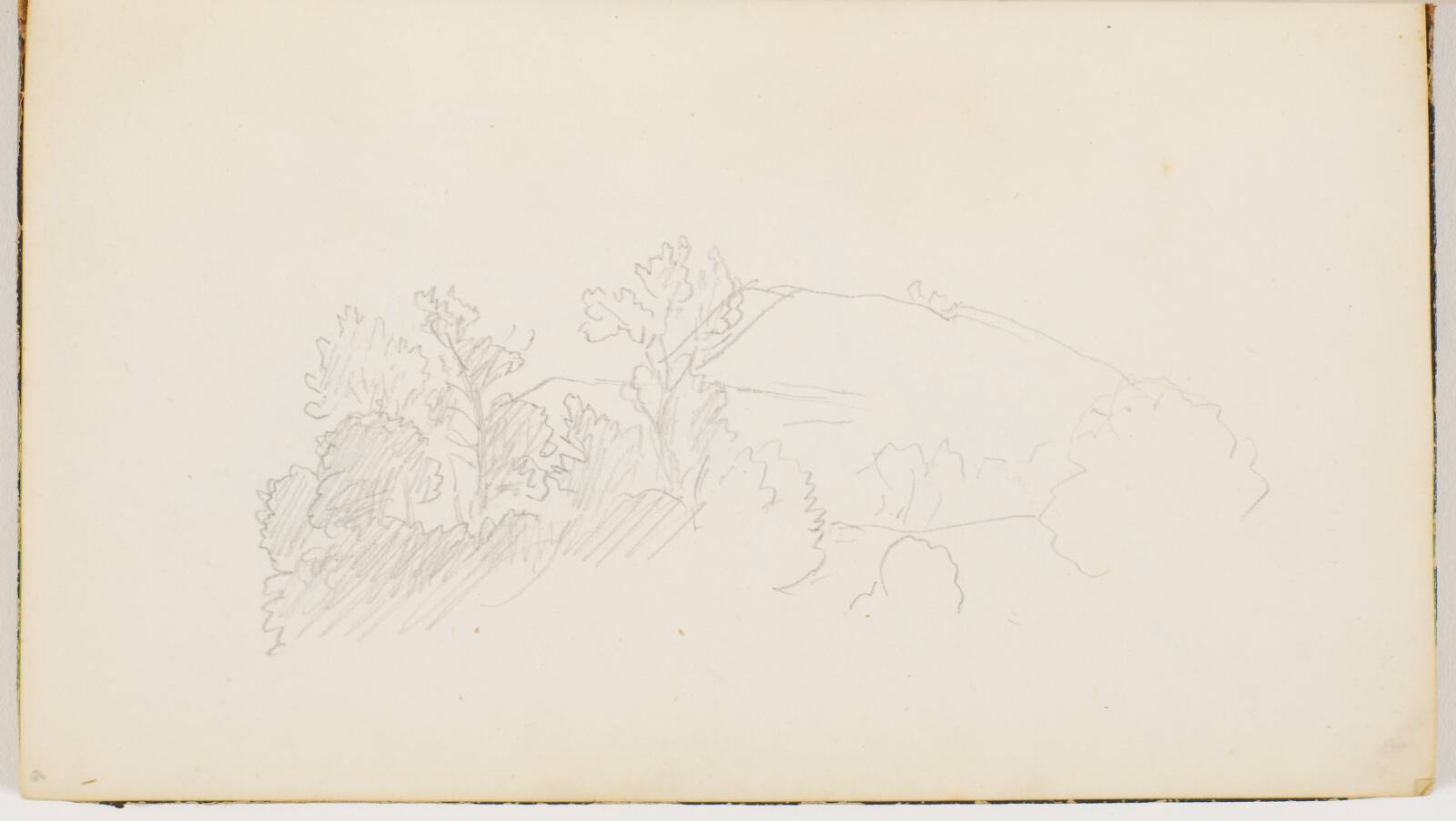 Træer og buske, P.C. Skovgaard, 1869