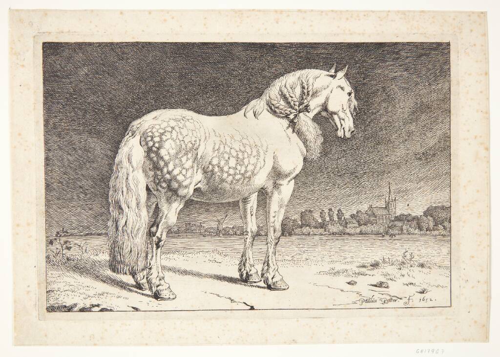 En frieserhest, Paulus Potter, 1652