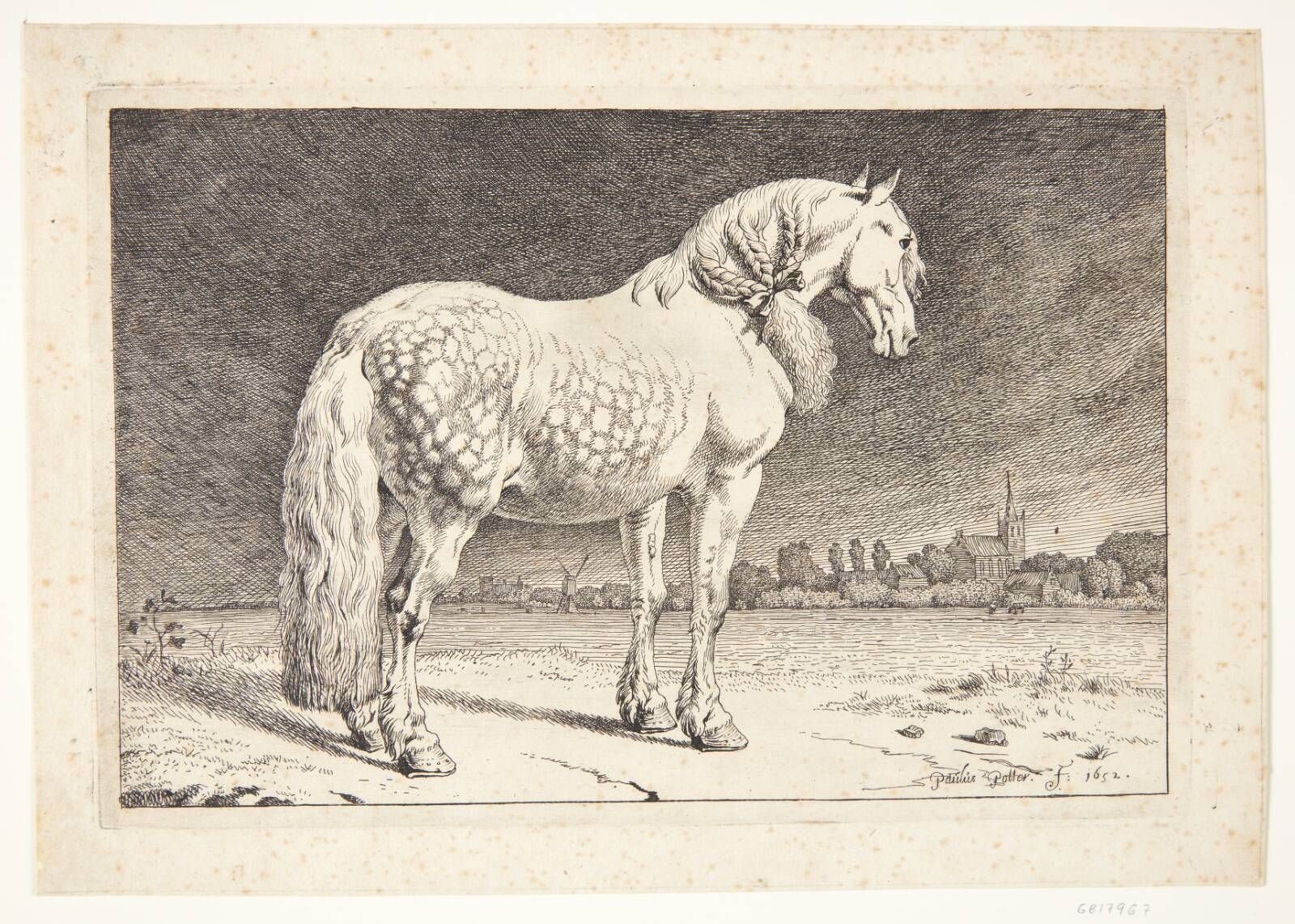 En frieserhest, Paulus Potter, 1652