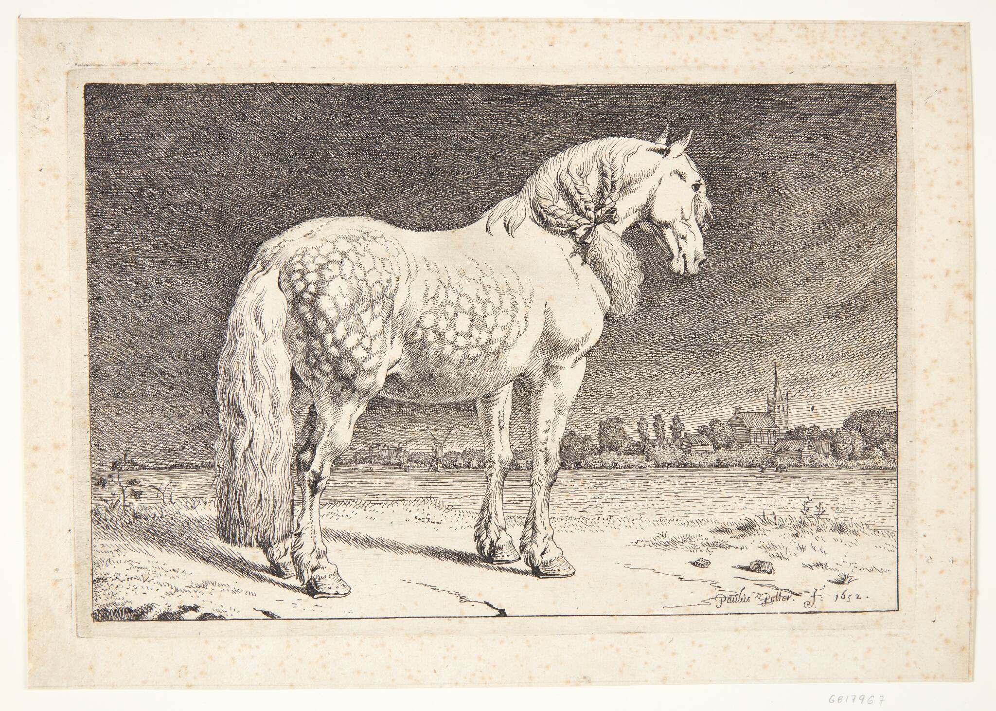 En frieserhest