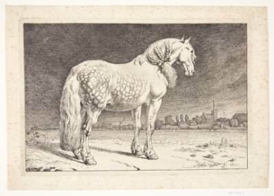 En frieserhest