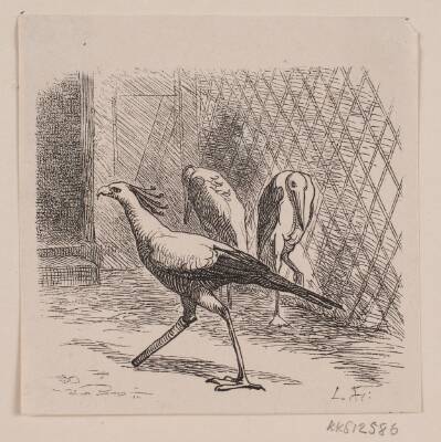 Sekretær i Jardin des Plantes