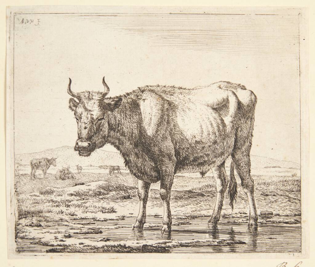 Tyr stående i vand, Adriaen van de Velde, 1636-1672