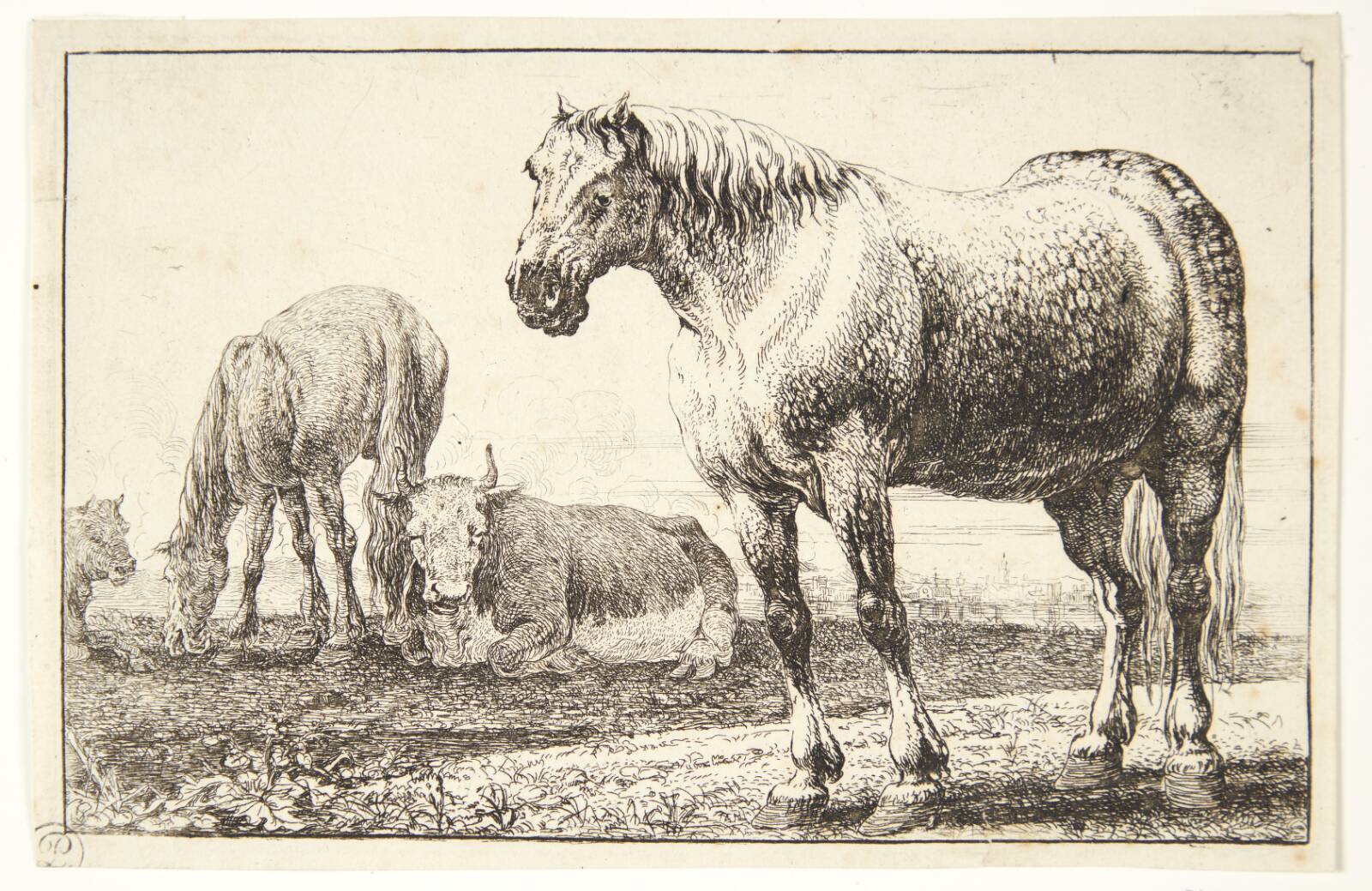 Heste og køer, Jan van den Hecke I, 1619-1684