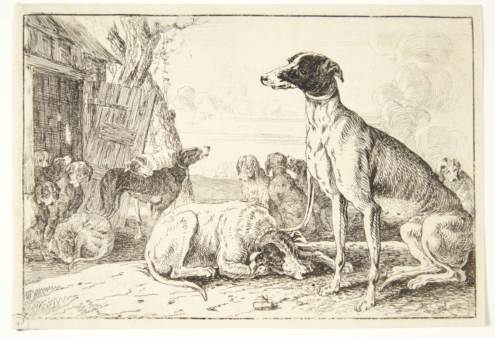 Hundekennel, Jan van den Hecke I, 1619-1684