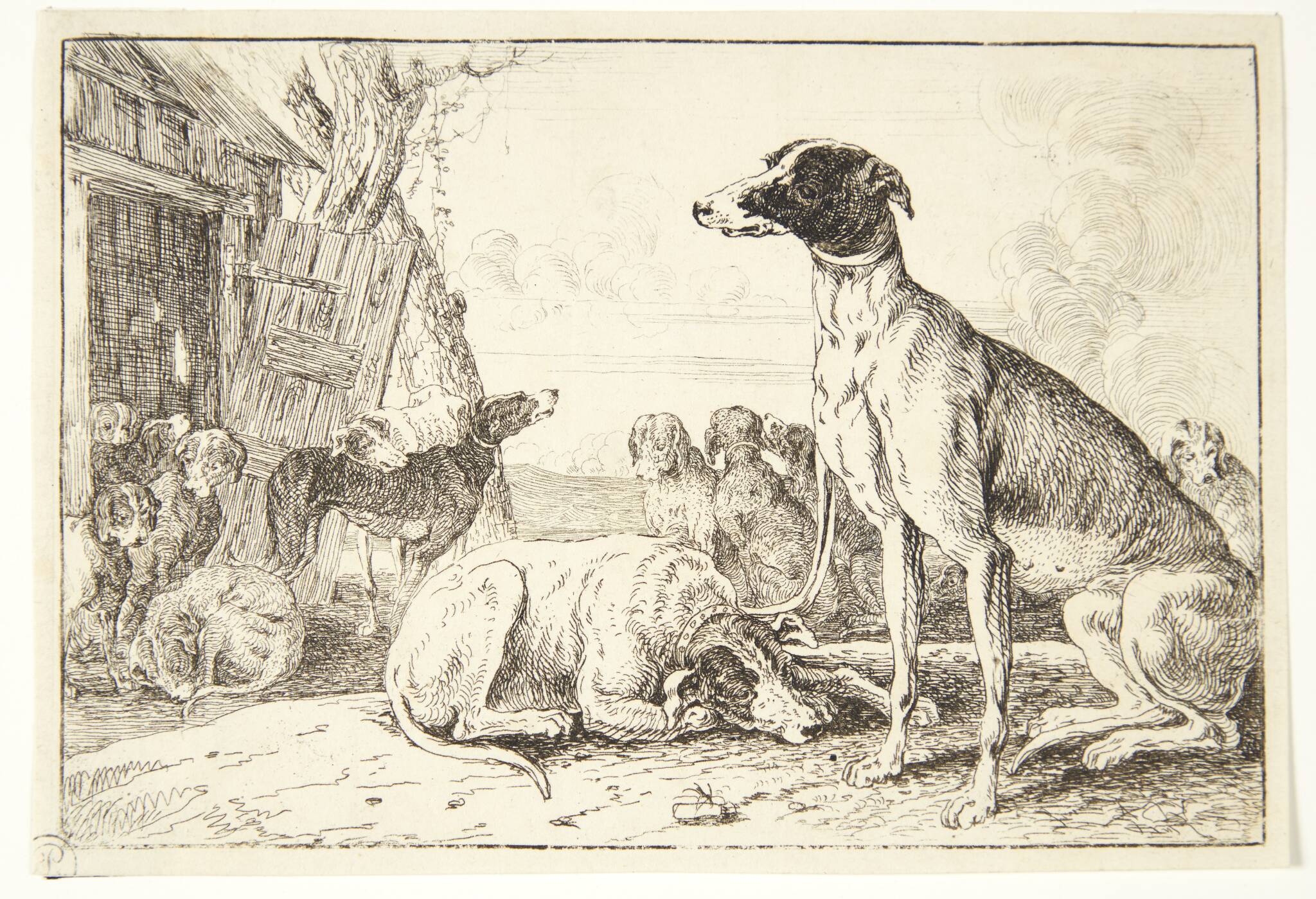 Hundekennel