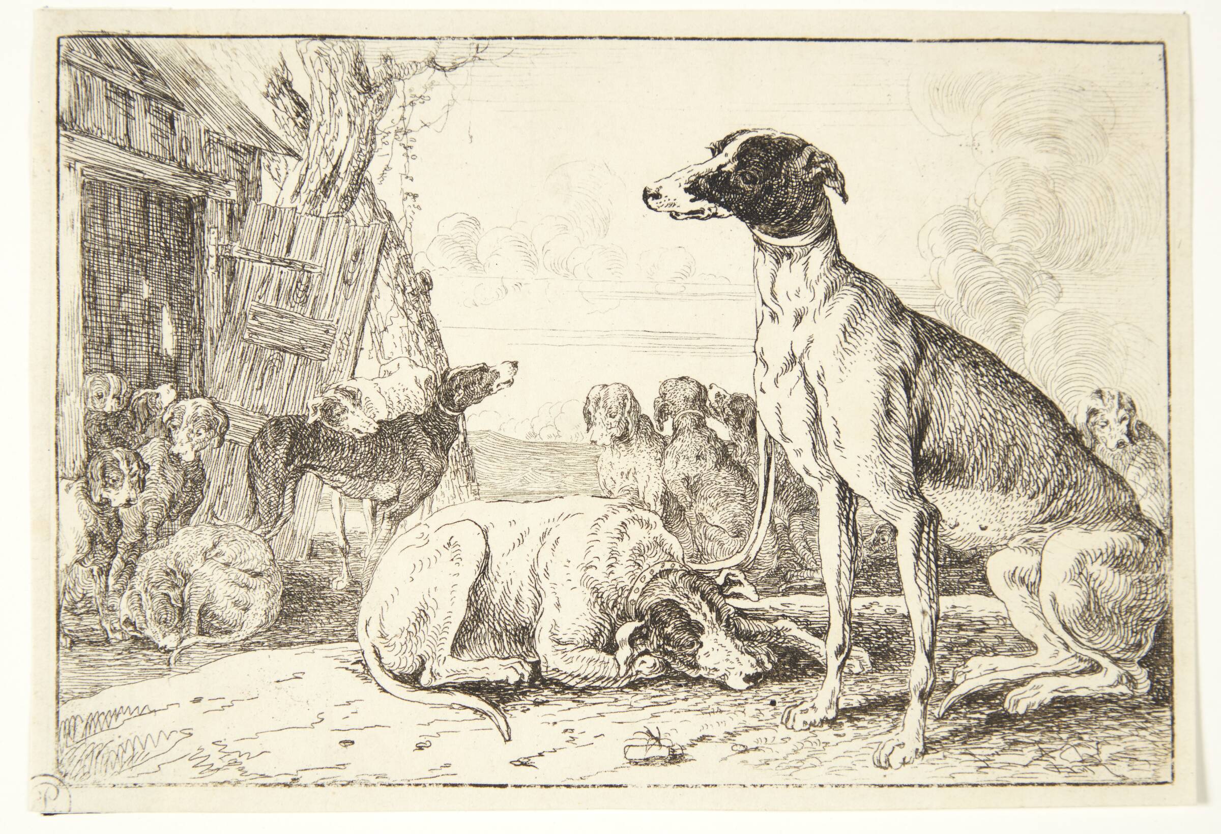 Hundekennel, Jan van den Hecke I, 1619-1684