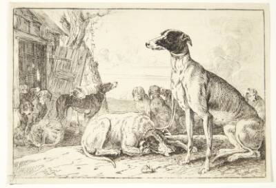 Hundekennel