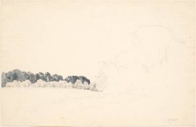 Studieblad. T.v. et skovbryn, t.h. blyantskrads (trækupler).