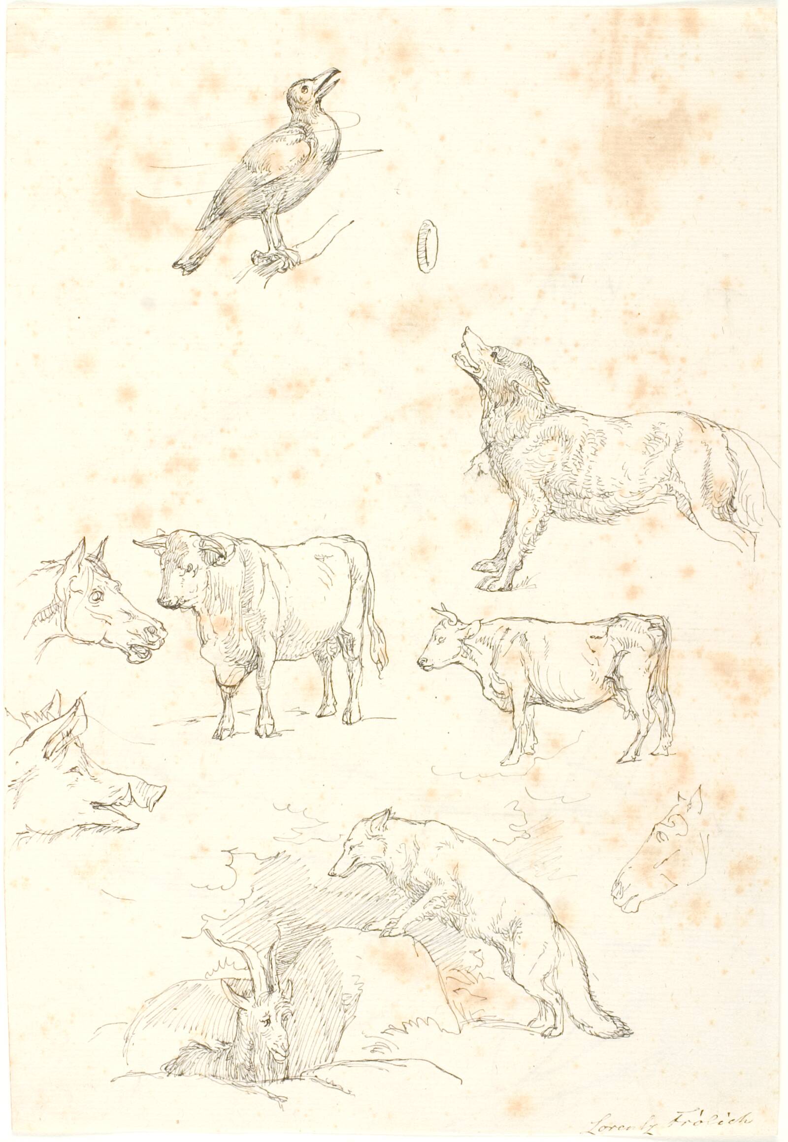 Dyrestudier, Lorenz Frølich, 1837-1839