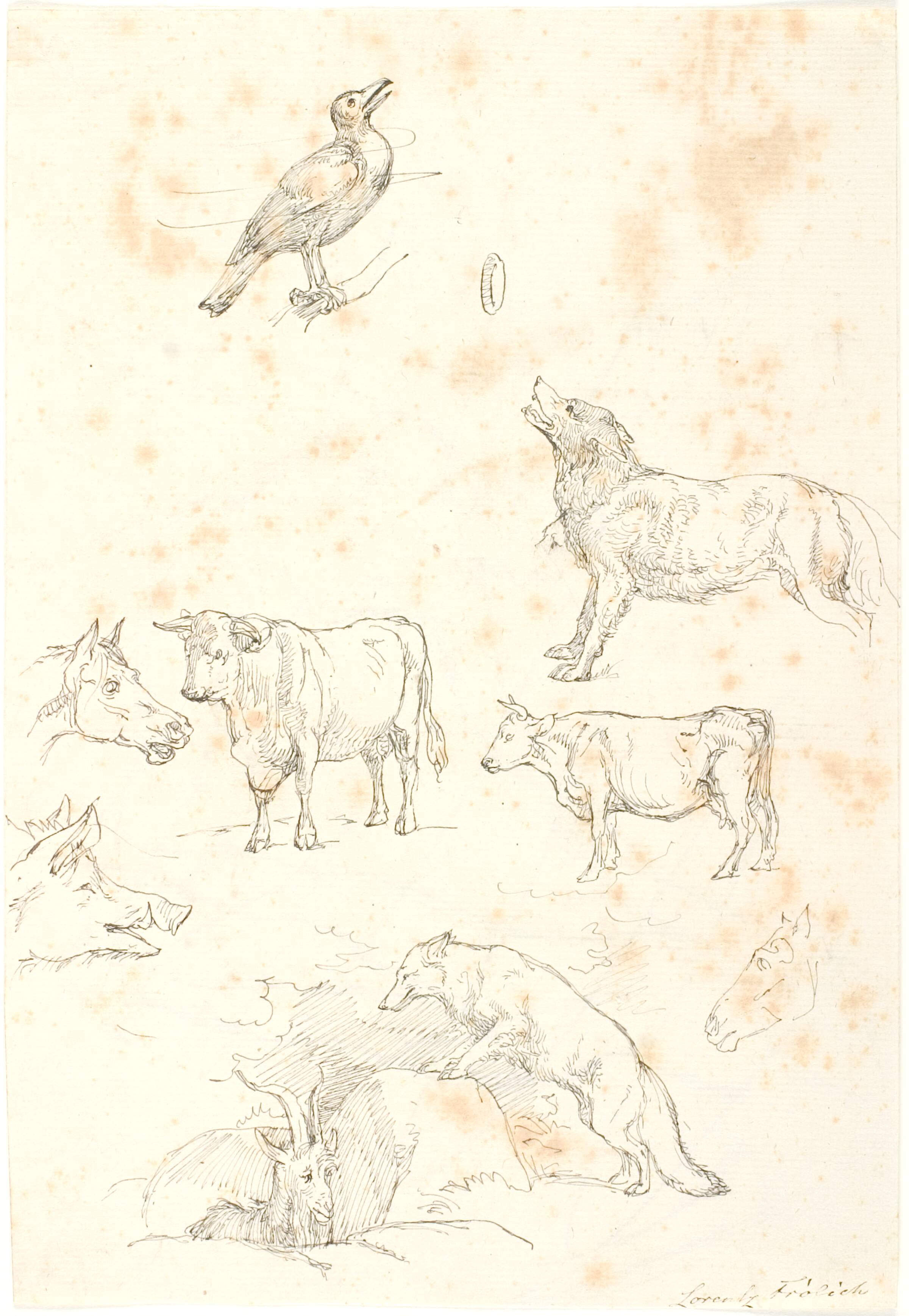 Dyrestudier, Lorenz Frølich, 1837-1839