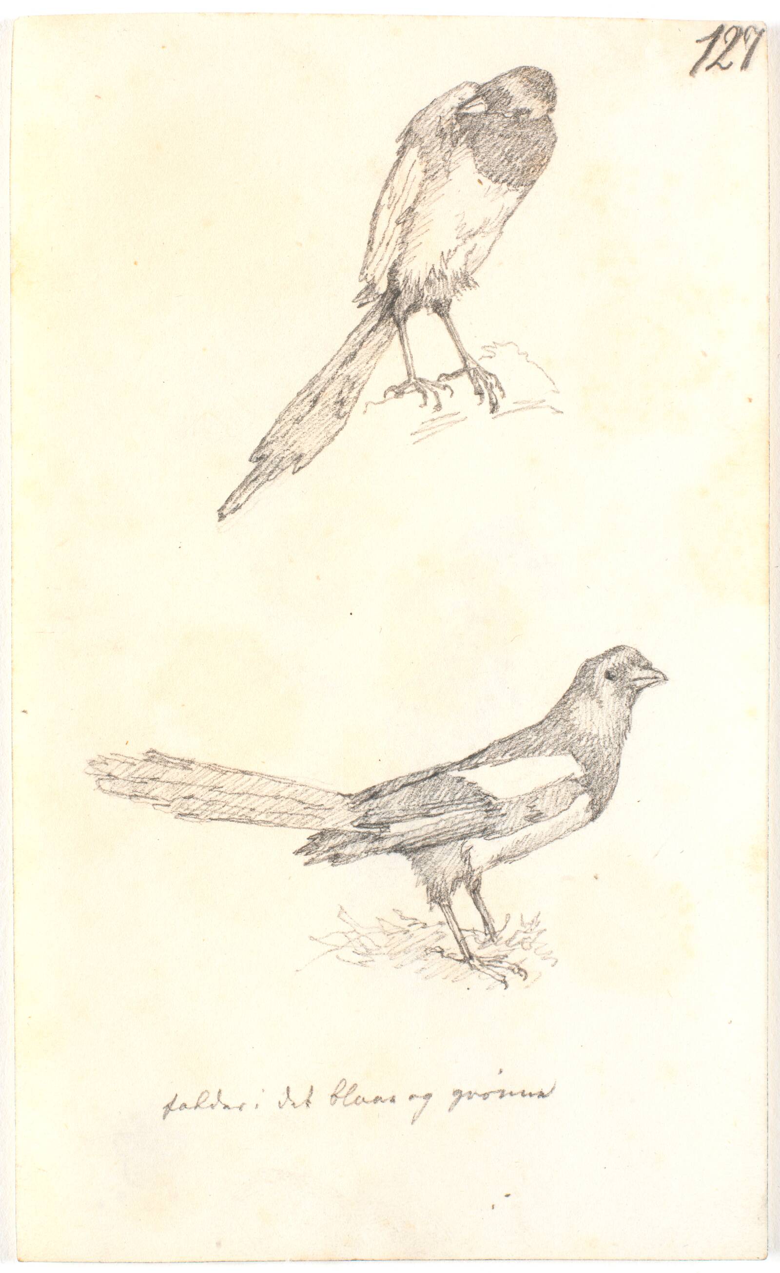 Skader, Christen Købke, 1810-1848