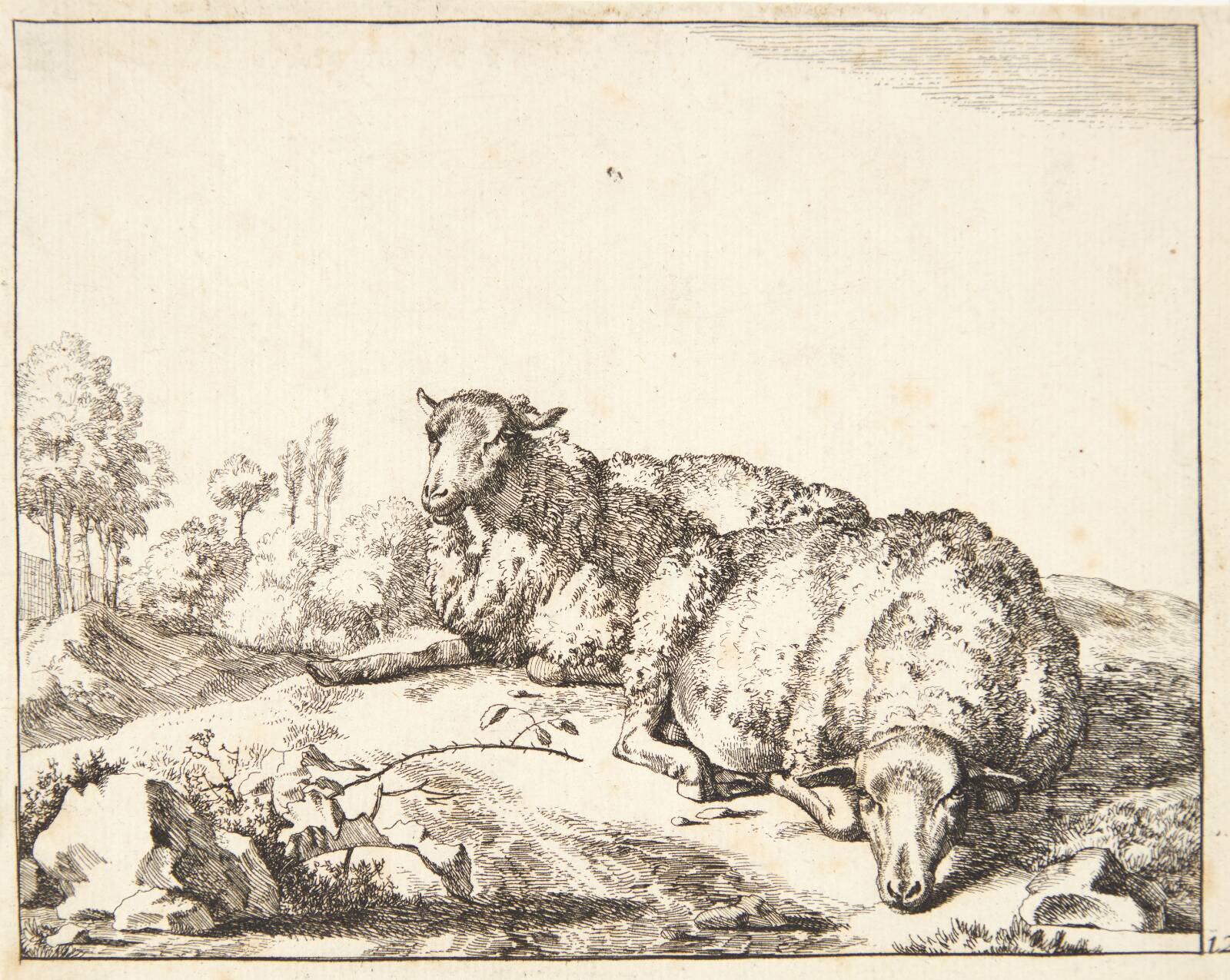 To liggende får, Marcus de Bye, 1664
