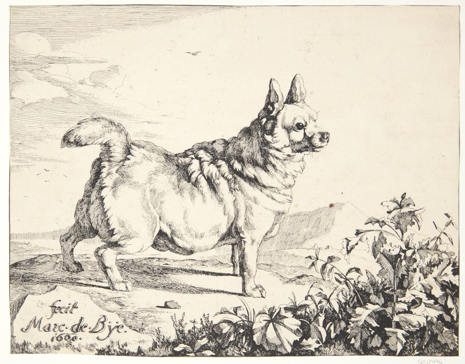 Stående hund, gadekryds, Marcus de Bye, 1660