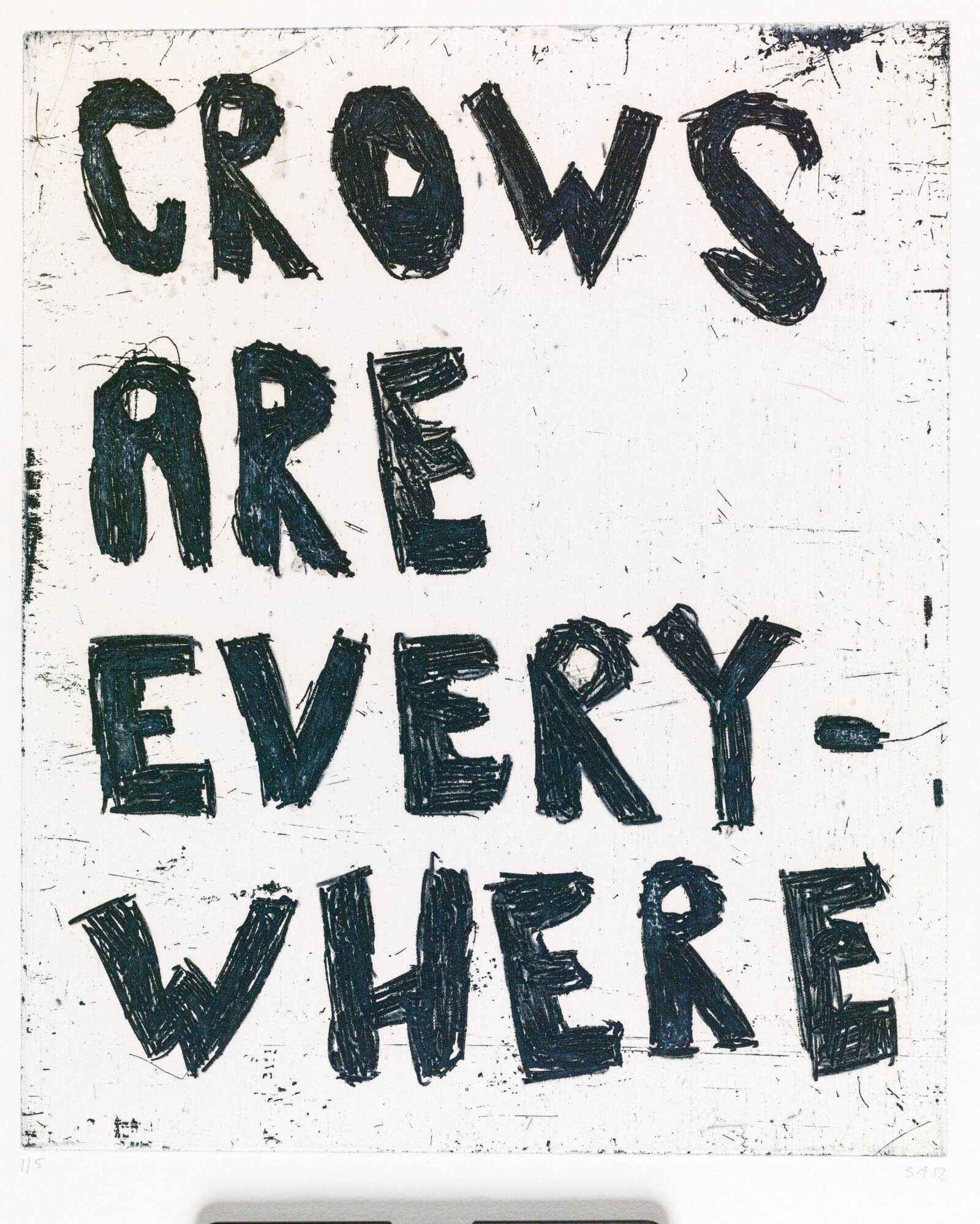 CROWS ARE EVERYWHERE, Svend-Allan Sørensen, 2012