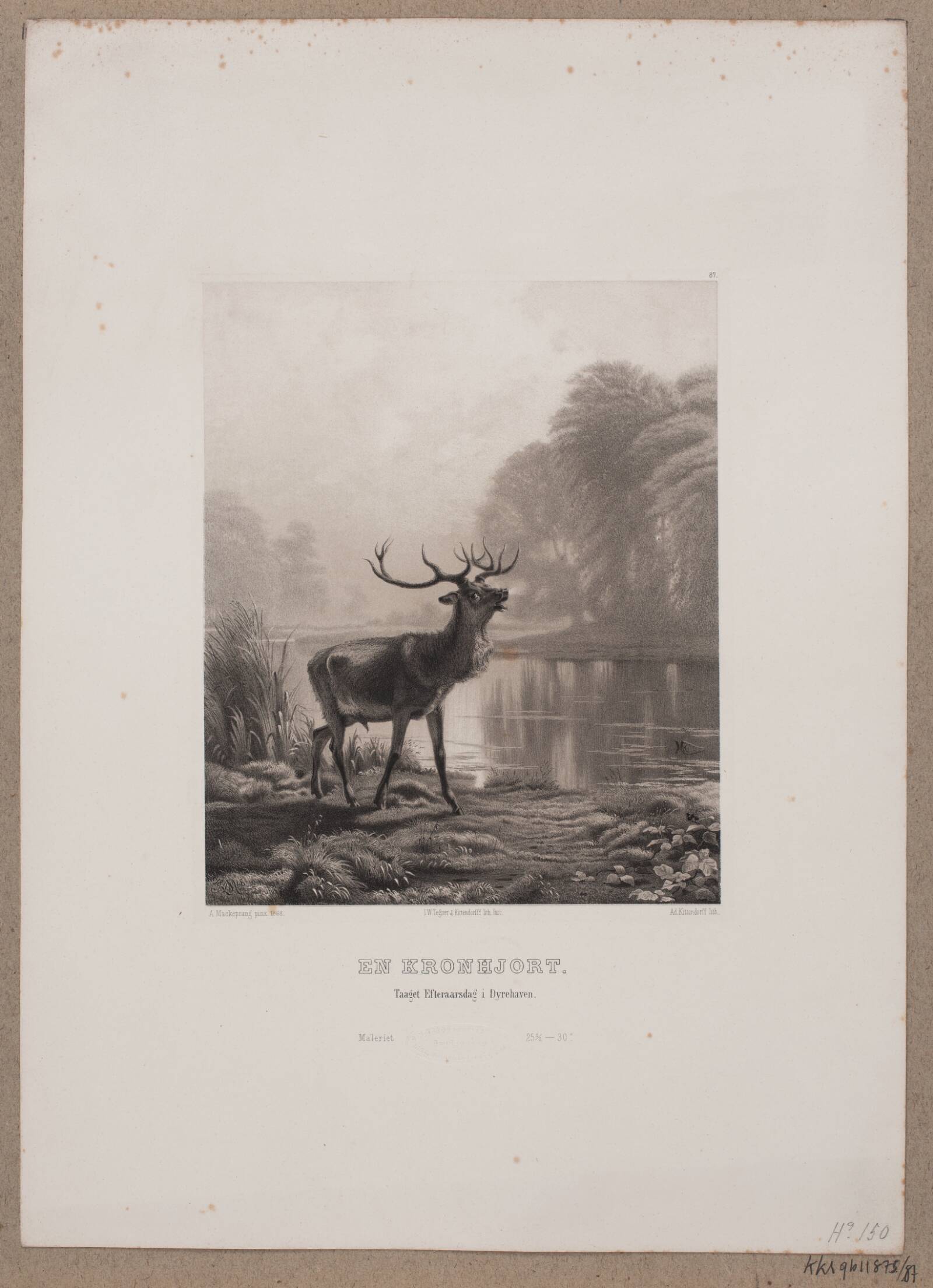 En kronhjort, Adolph Kittendorff, 1880-1889
