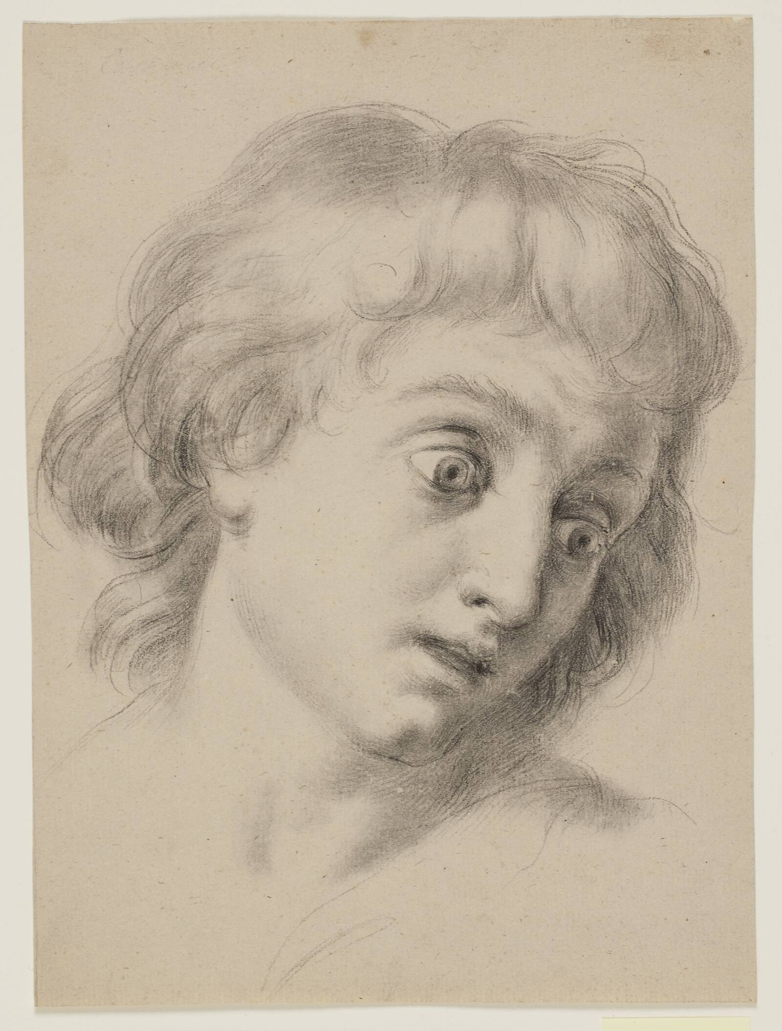 Hovedet af en dreng, Antonio Cavallucci, 1751-1795