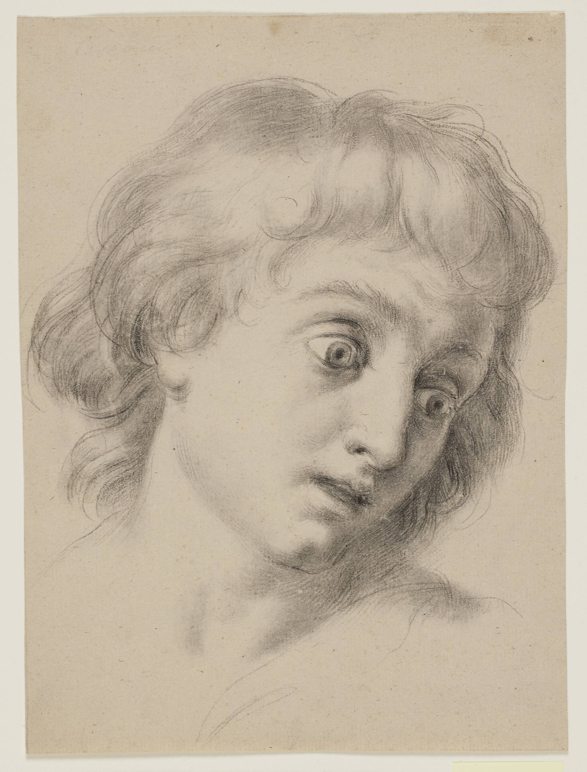 Antonio Cavallucci
