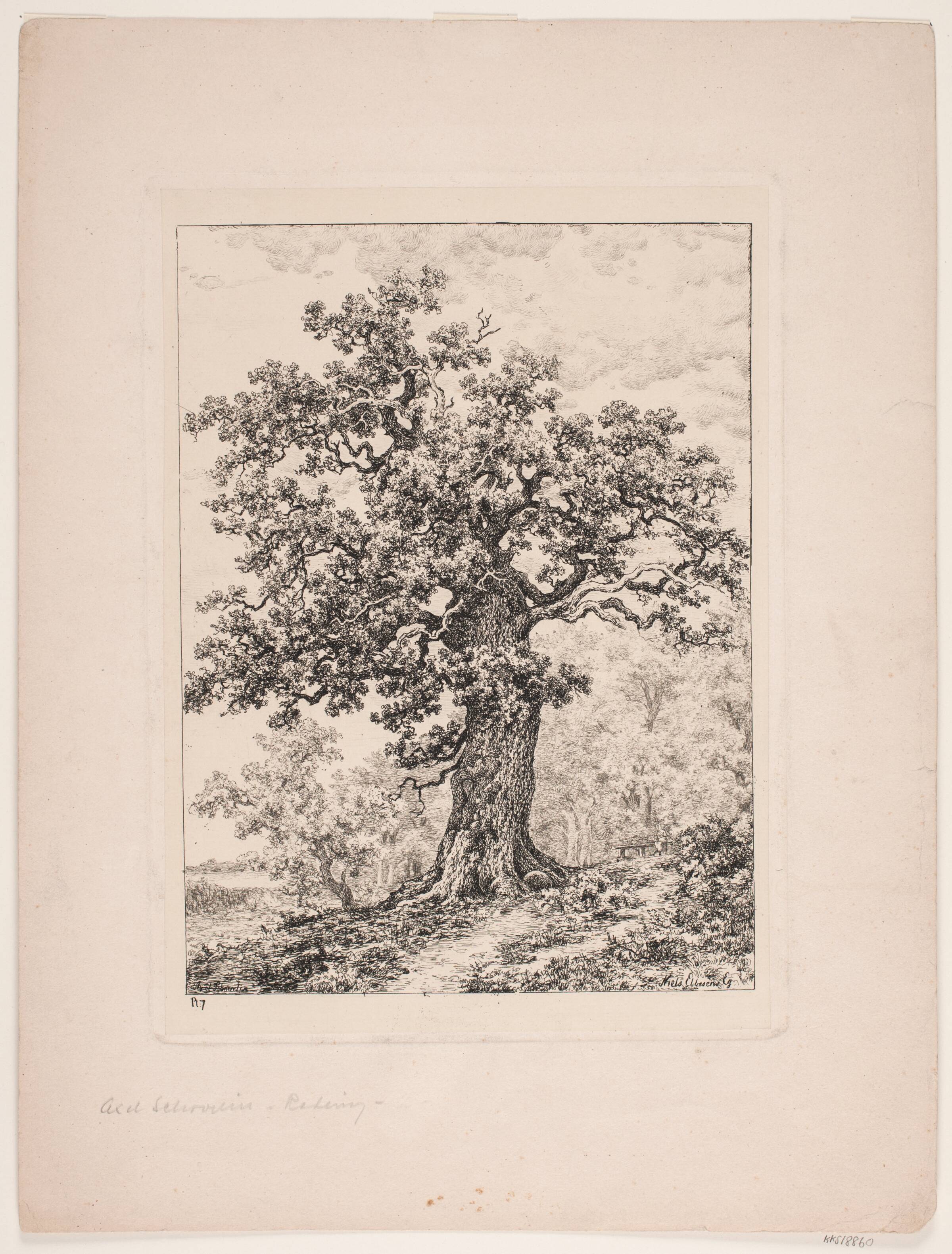 Niels Ebbesens eg. Gyllingnæs skov, Axel Schovelin, 1887