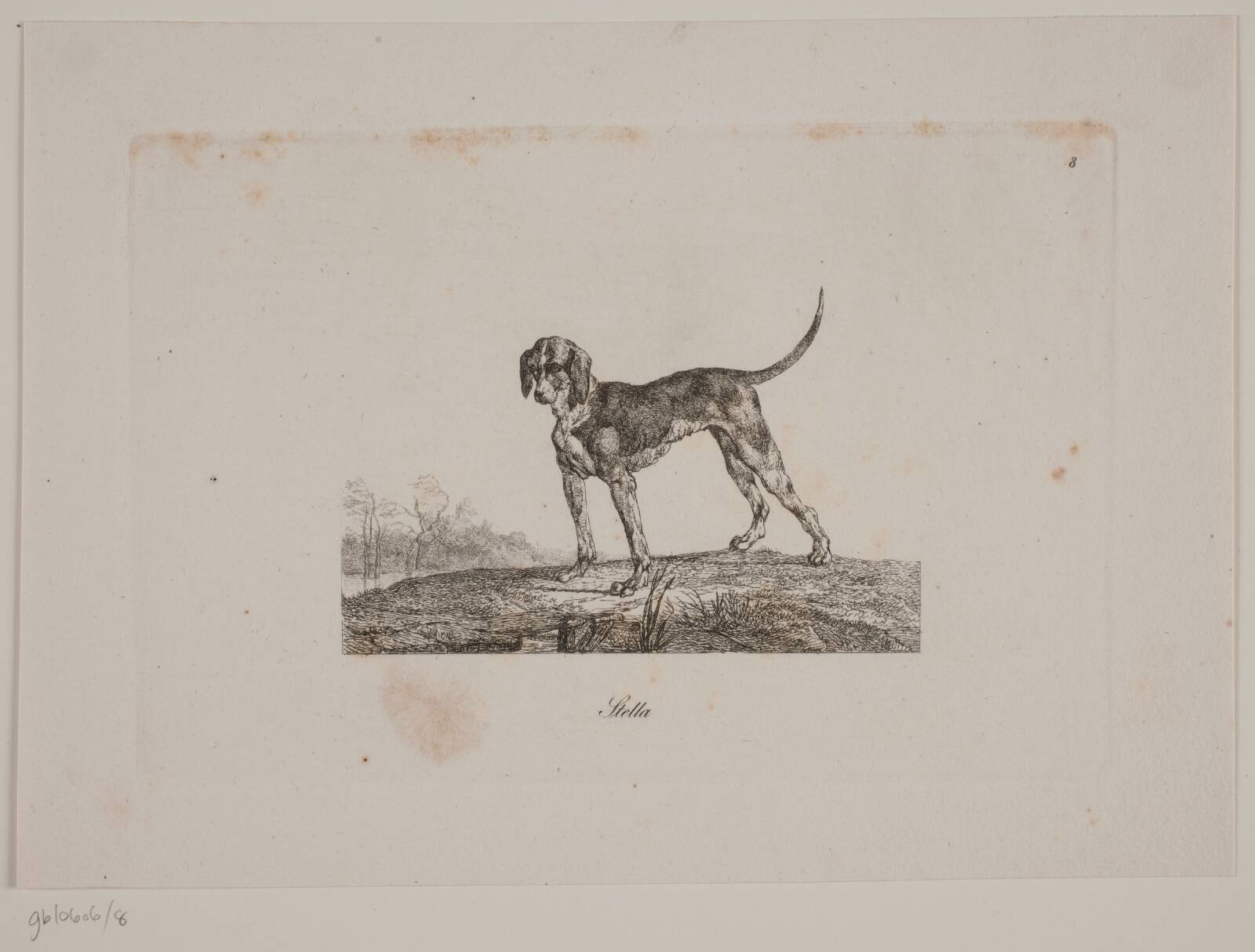 Stella, Christian David Gebauer, 1821