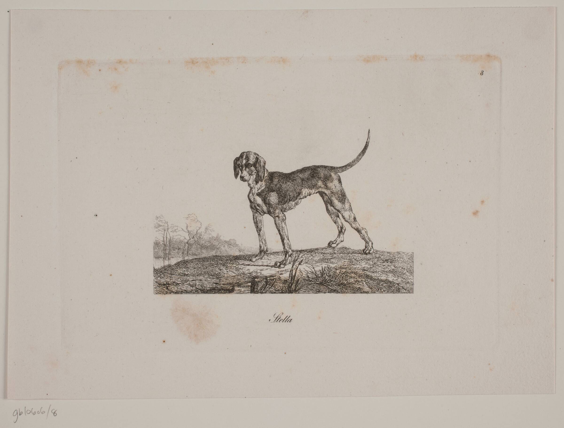 Stella, Christian David Gebauer, 1821