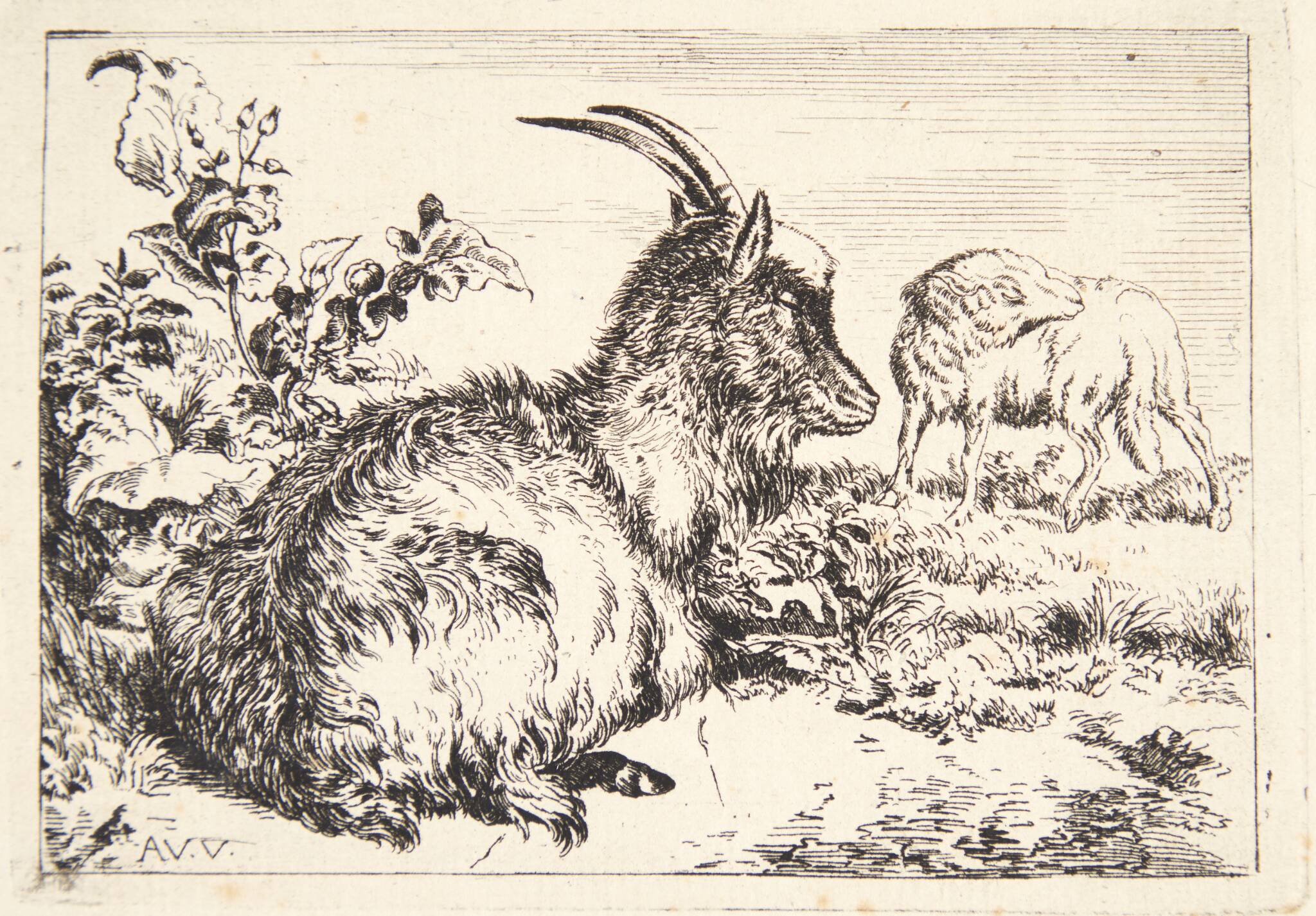 Benjamin Phelps Gibbon