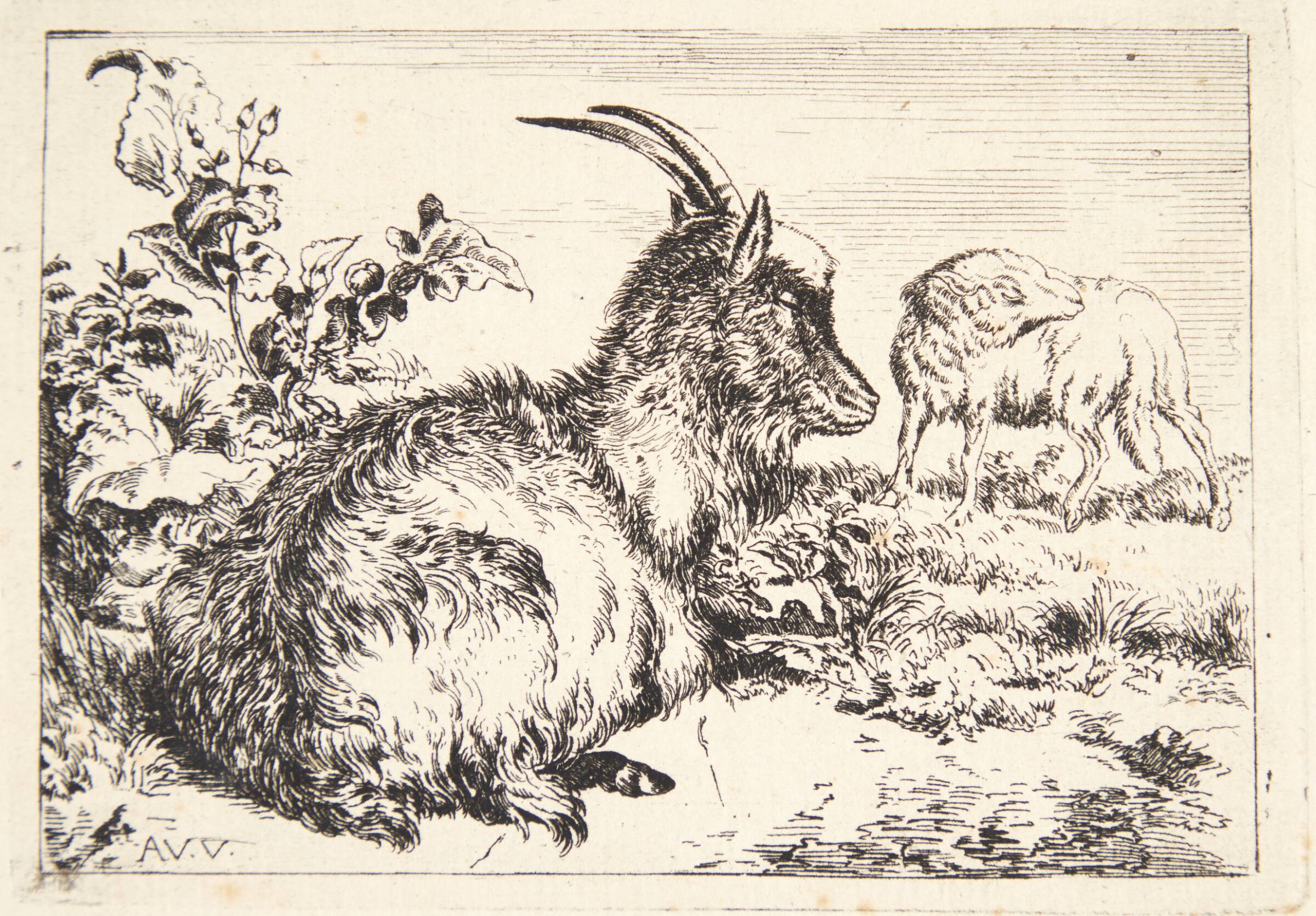 Liggende ged, Benjamin Phelps Gibbon, 1802-1851