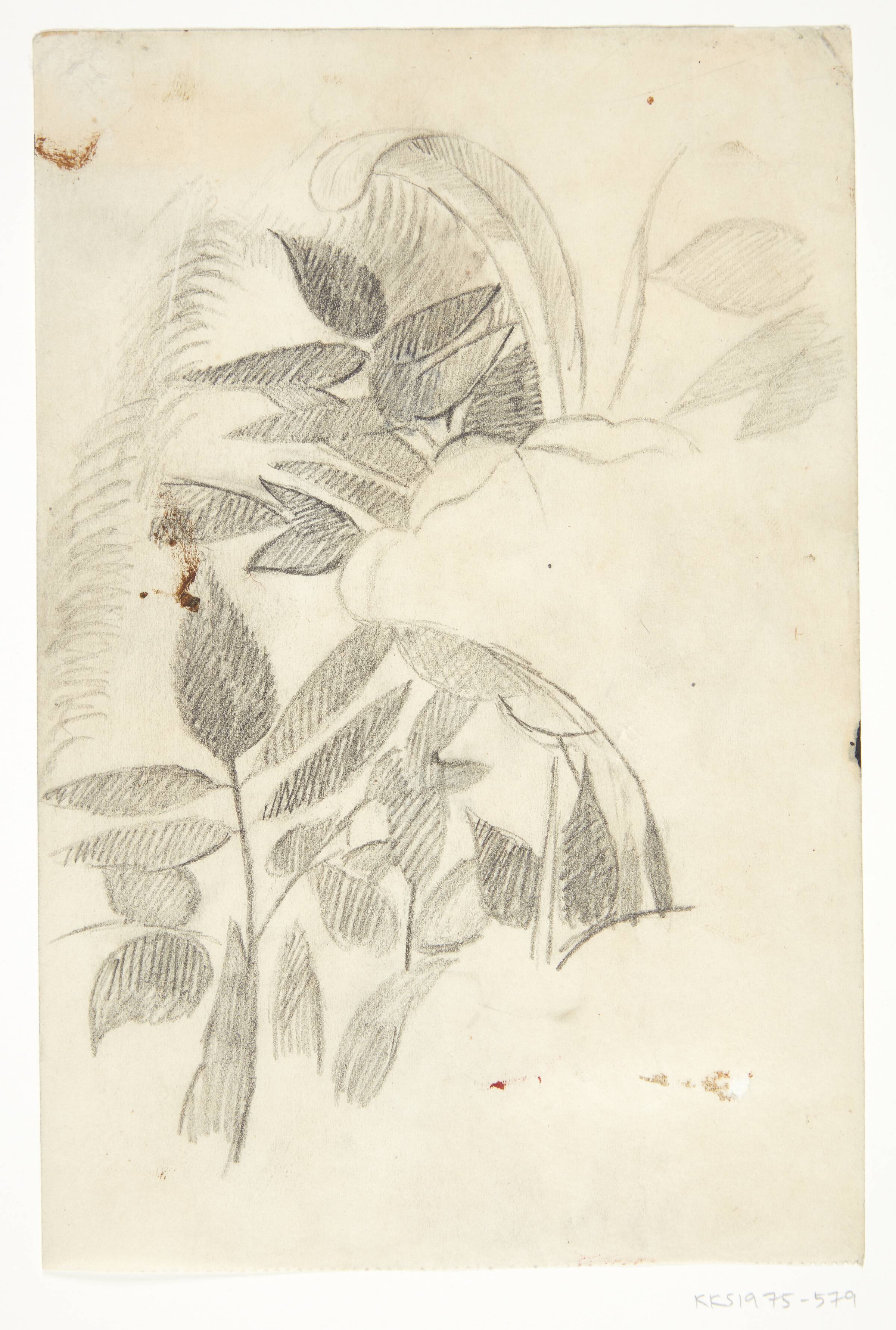 Bladhang. Kompositionsskitse til P. Uccellos "La Battaglia", William Scharff, 1901-1959