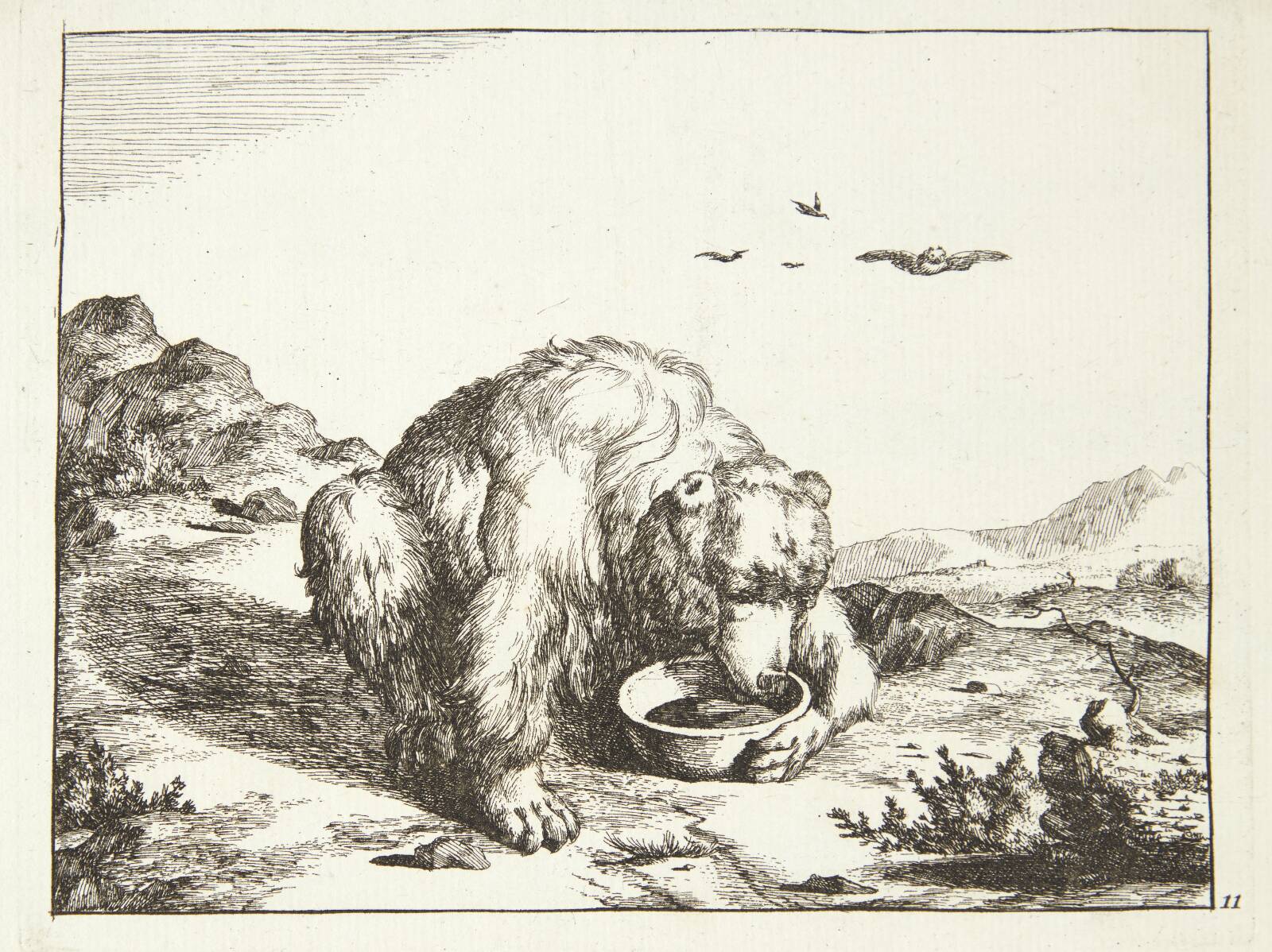 Drikkende bjørn, Marcus de Bye, 1664