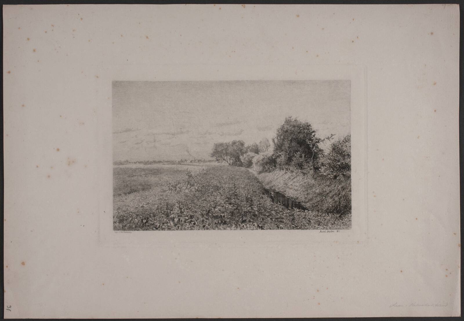 Åen, Kalvebodstrand, Axel Holm, 1895