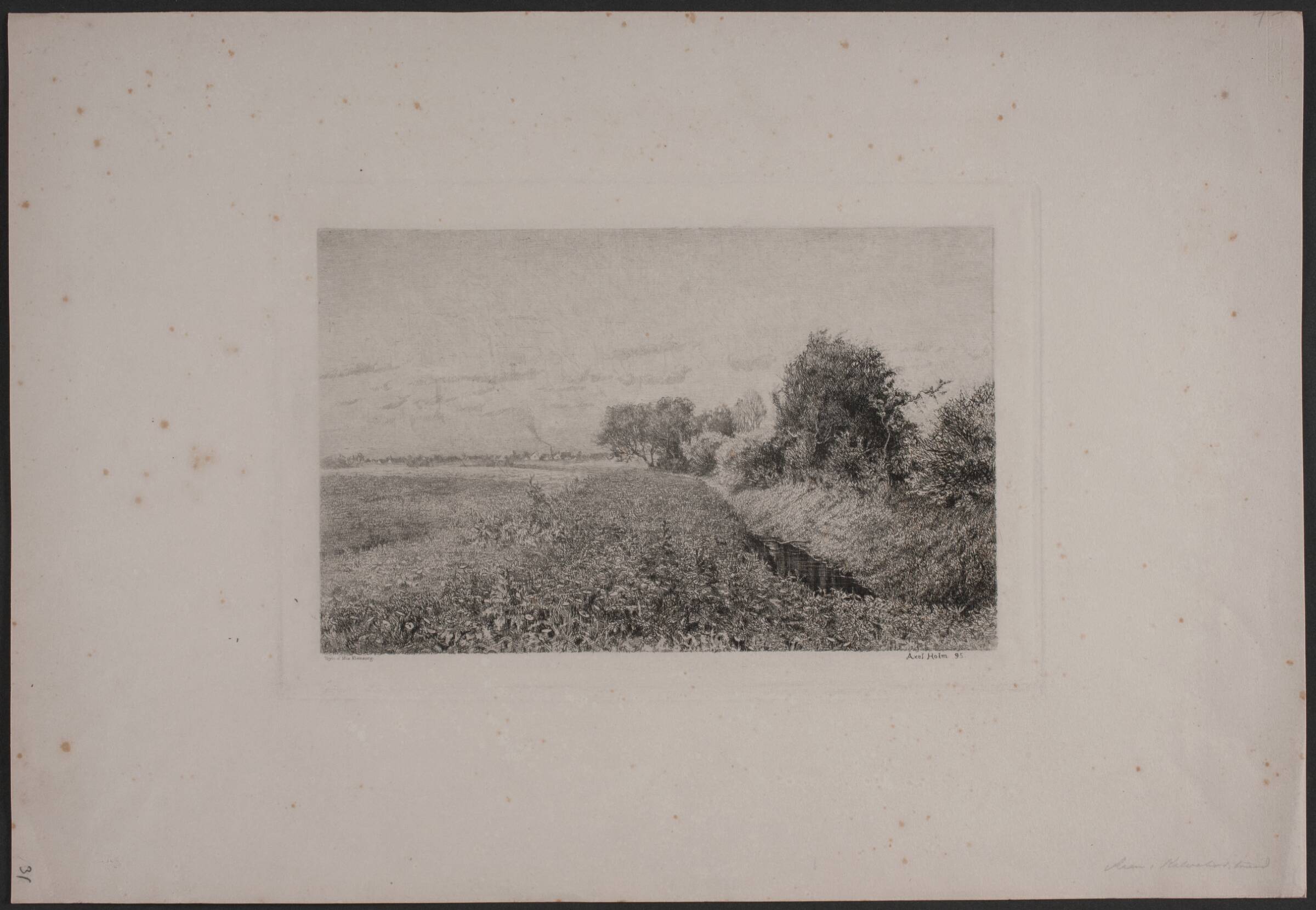 Åen, Kalvebodstrand, Axel Holm, 1895